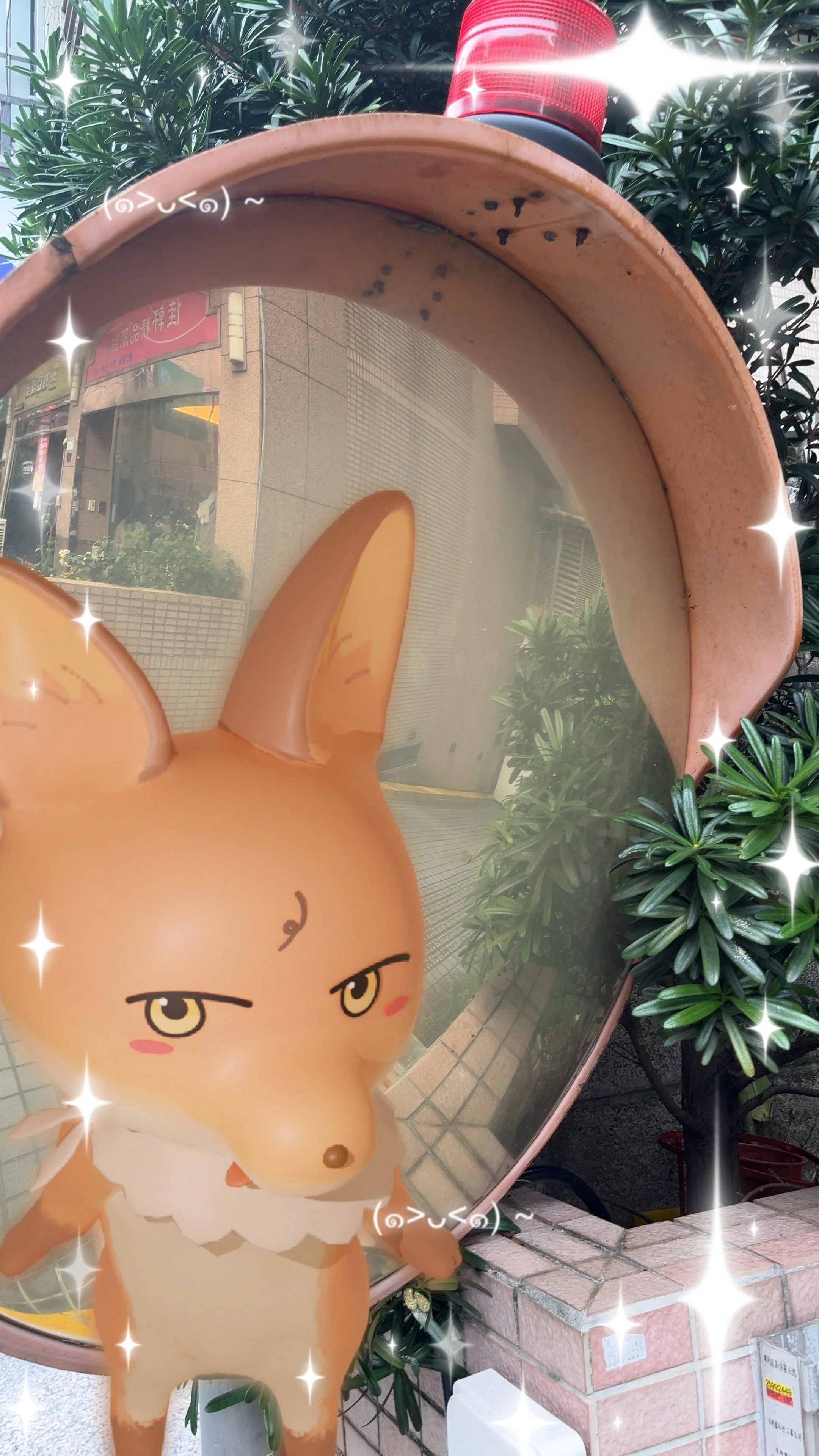 Wendy's Fox