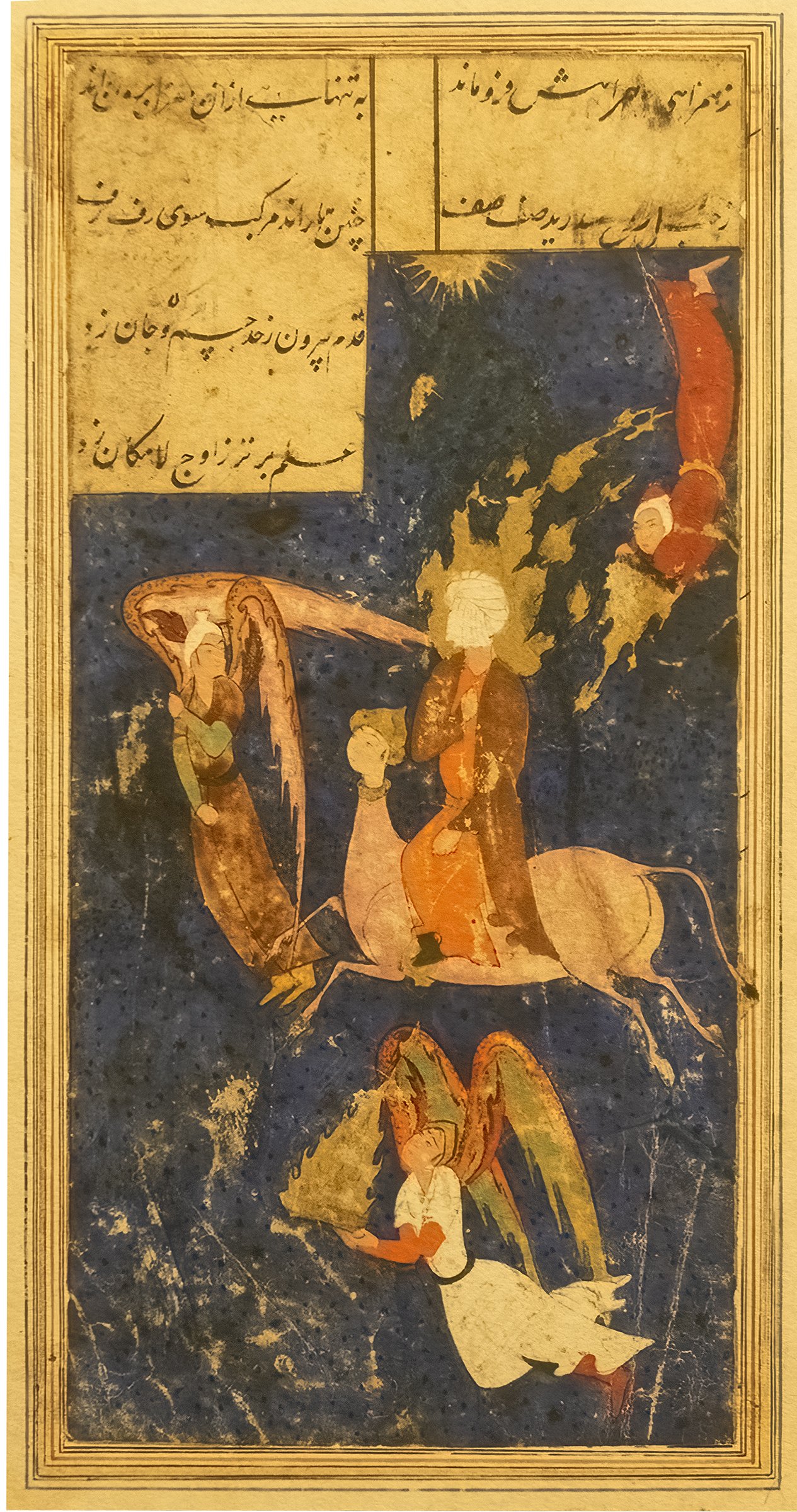 Denoised_IMG_0643 50pcnt.jpg