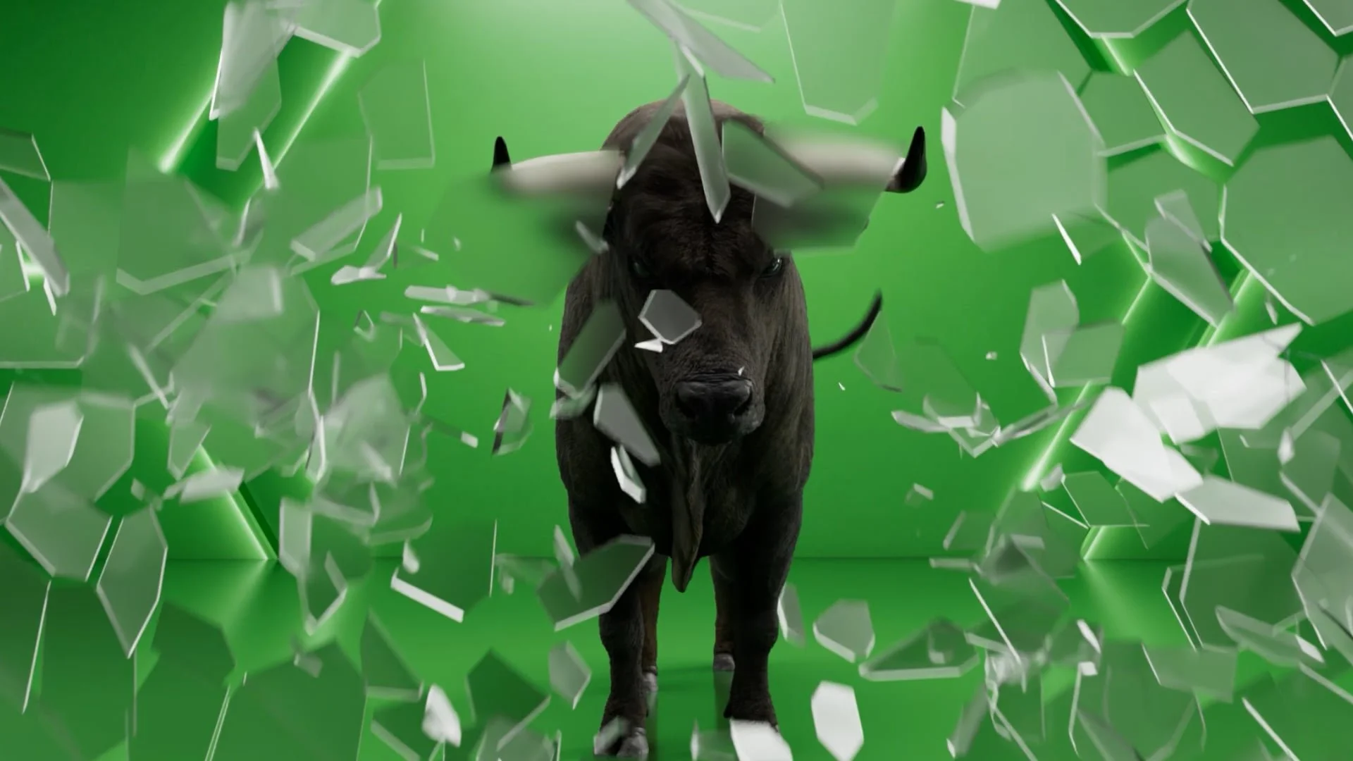 Etoro
Role: Animator