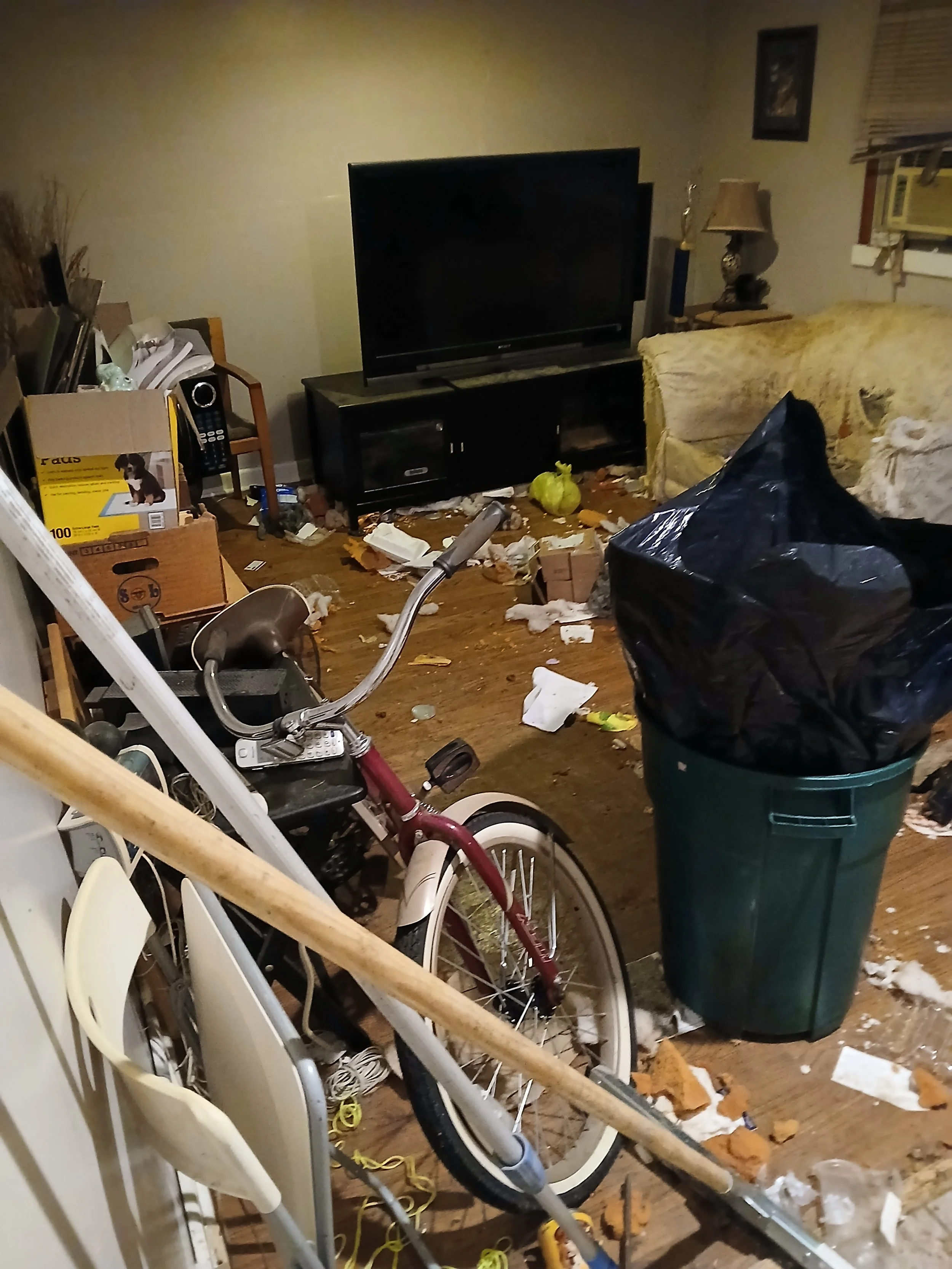 Backroom before cleaning and organization in a Chicago home with cluttered storage and buildup