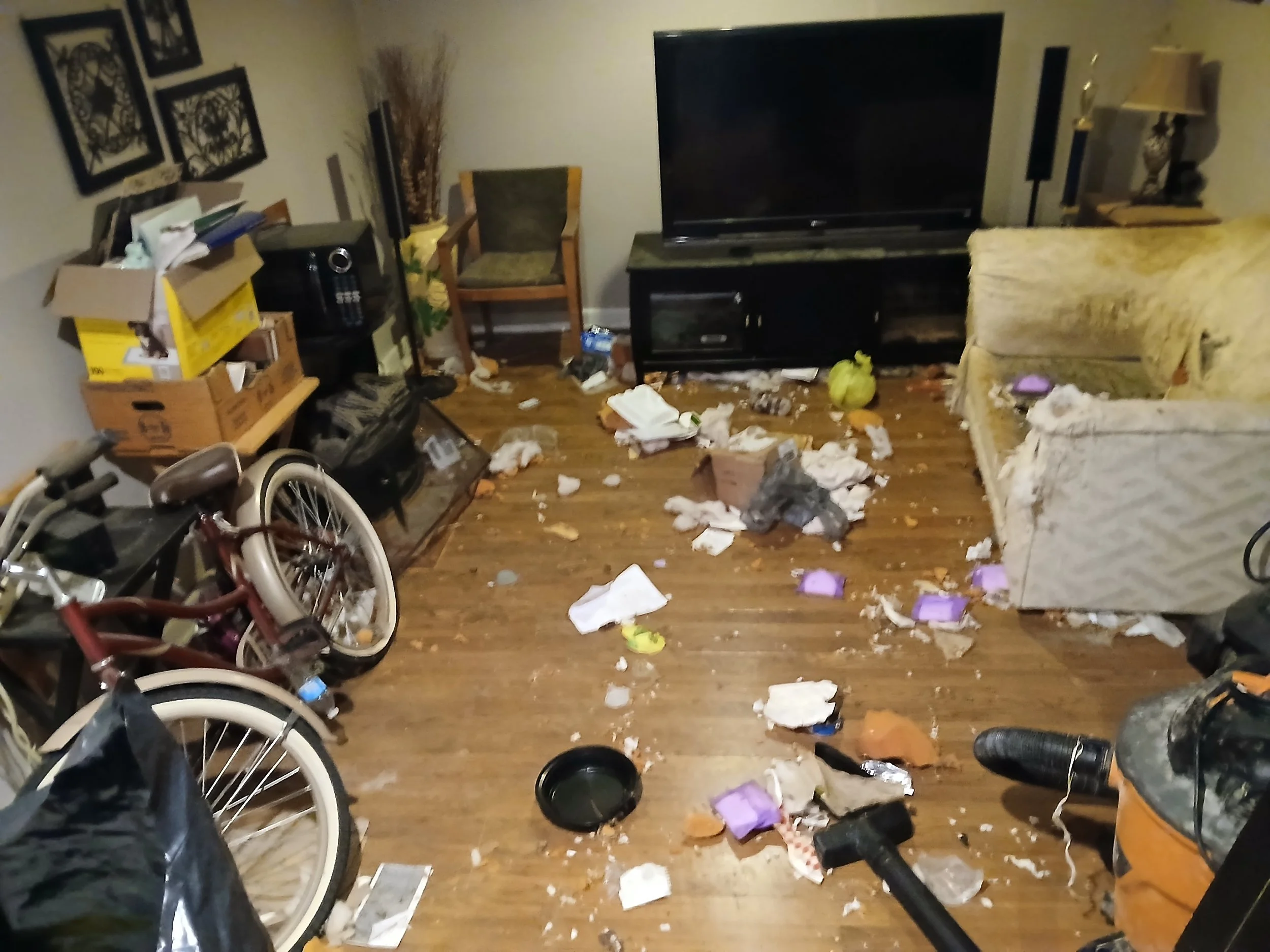 Backroom before cleaning and organization in a Chicago home with cluttered storage and buildup