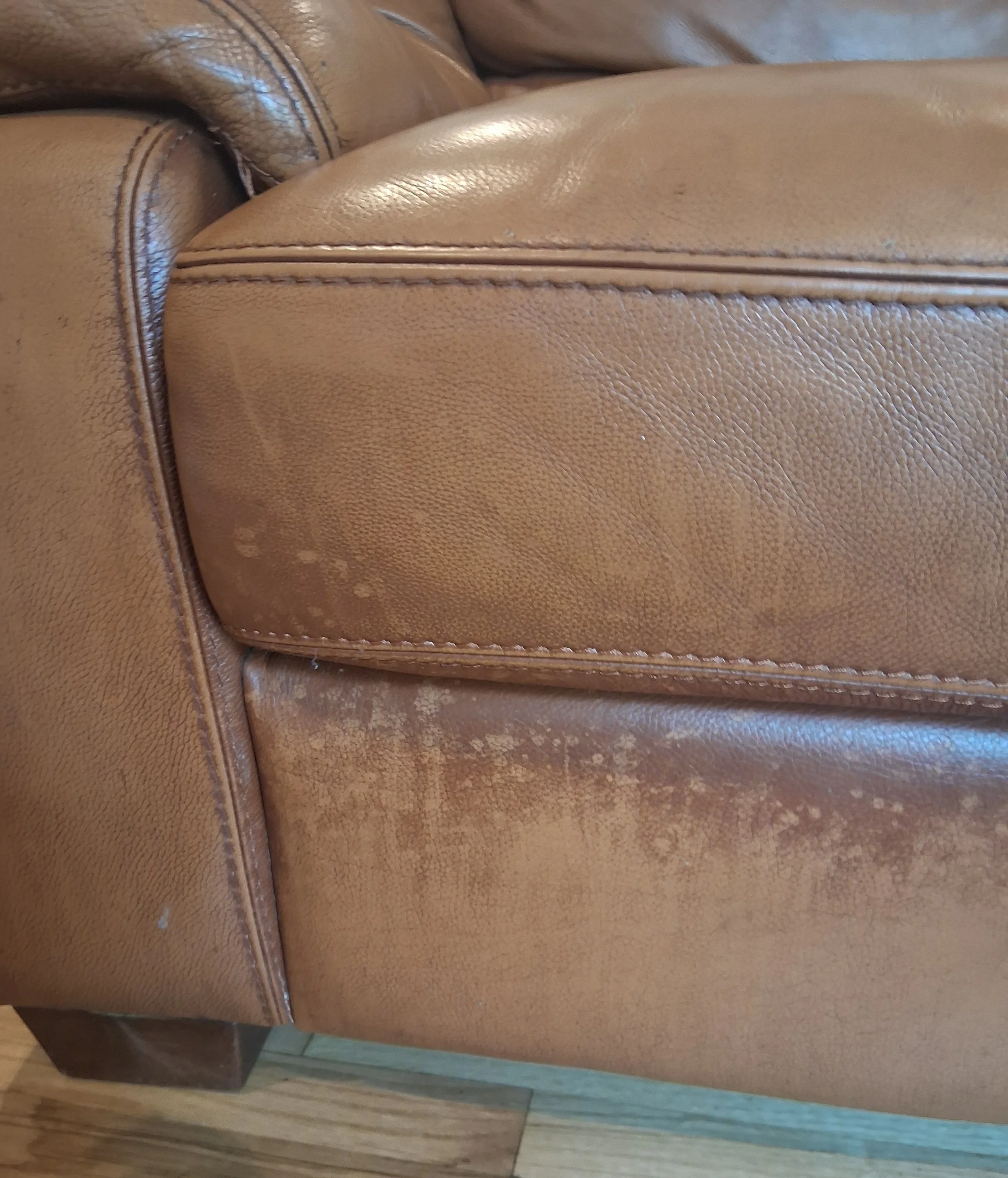 before couch cleaning 2.jpg