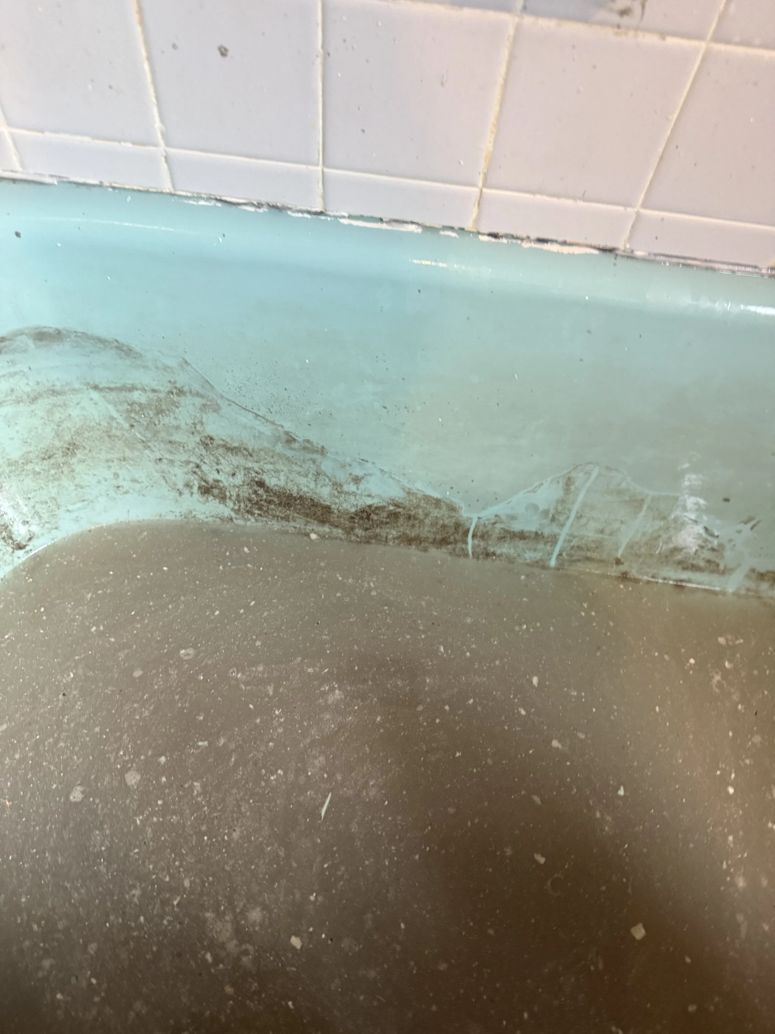 Additional Photo of Mold Growth