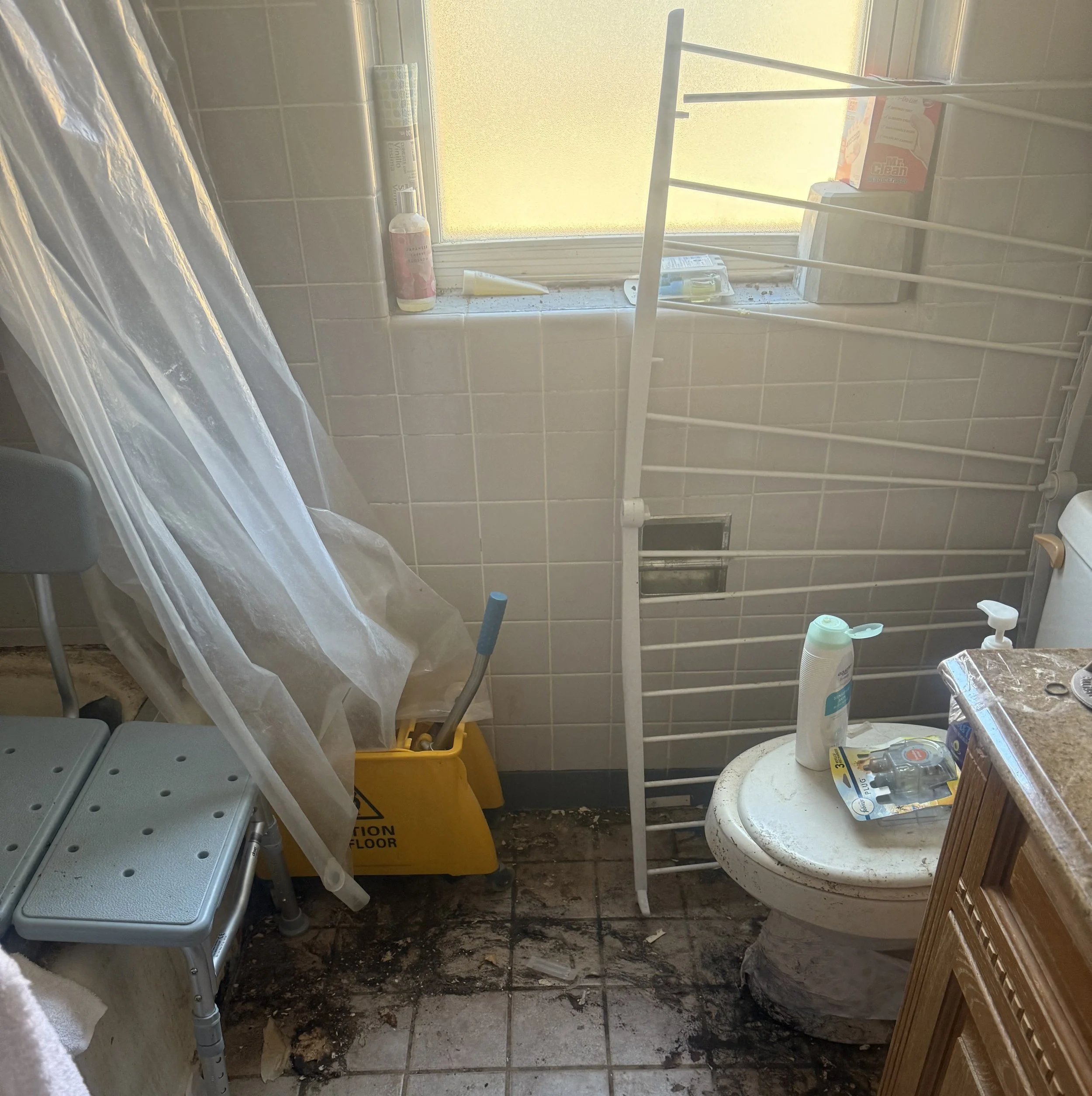 Before a Bathroom Deep Clean