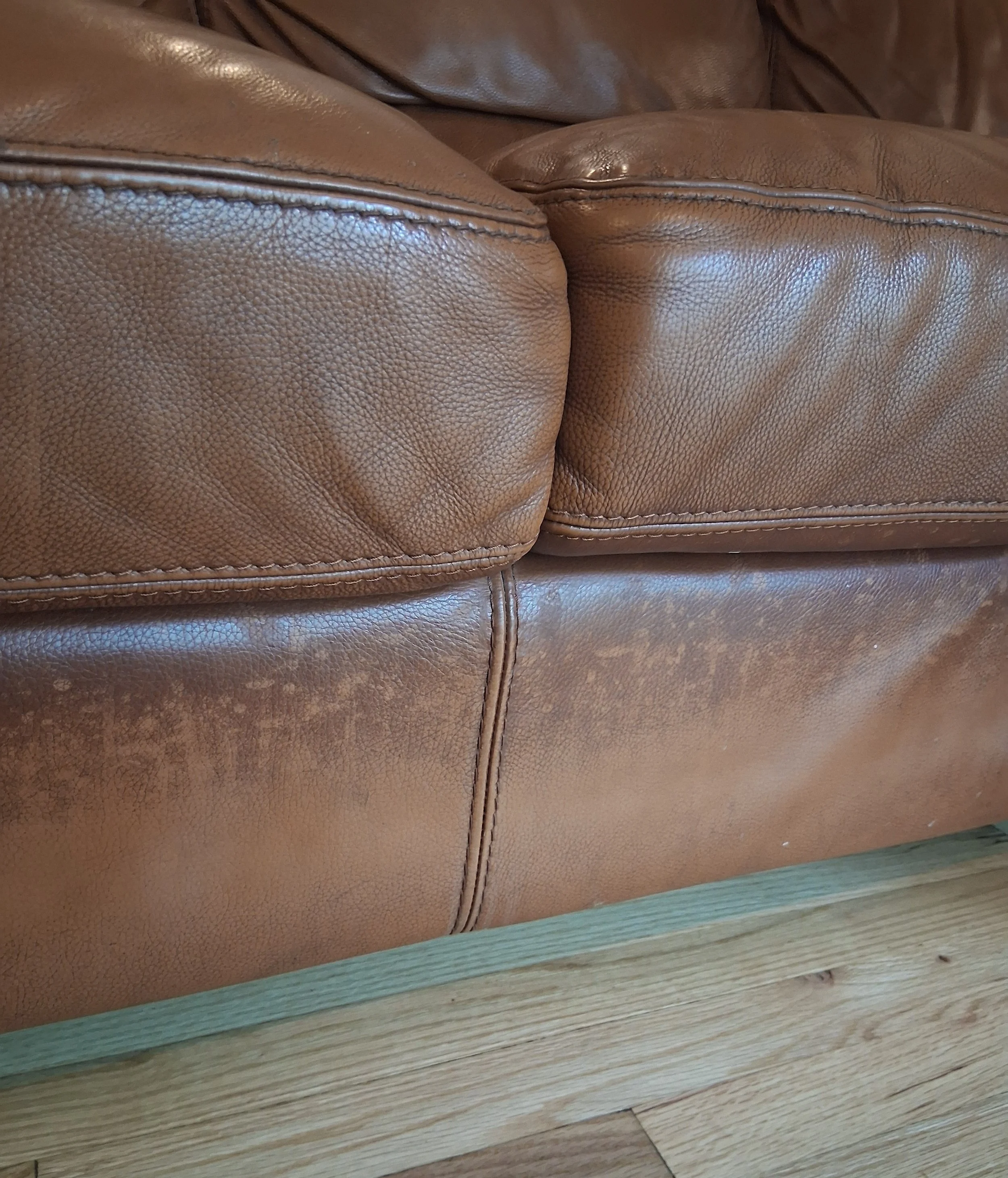 before couch cleaning.jpg