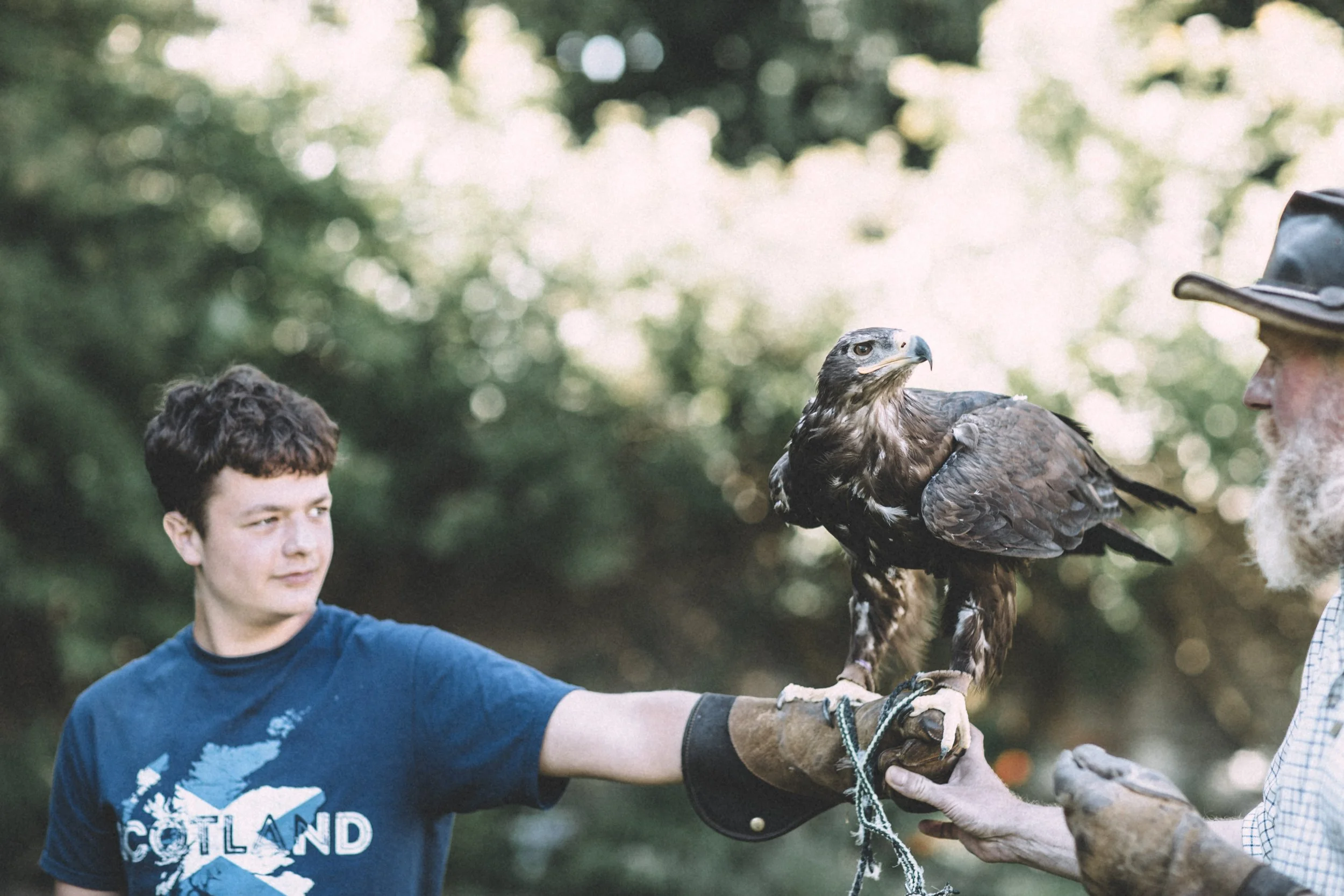 A young man with curly hair wearing a blue shirt with a mountain graphic is holding a large bird of prey, possibly a hawk or eagle, on his gloved arm during daylight outdoors, with trees in the background.
