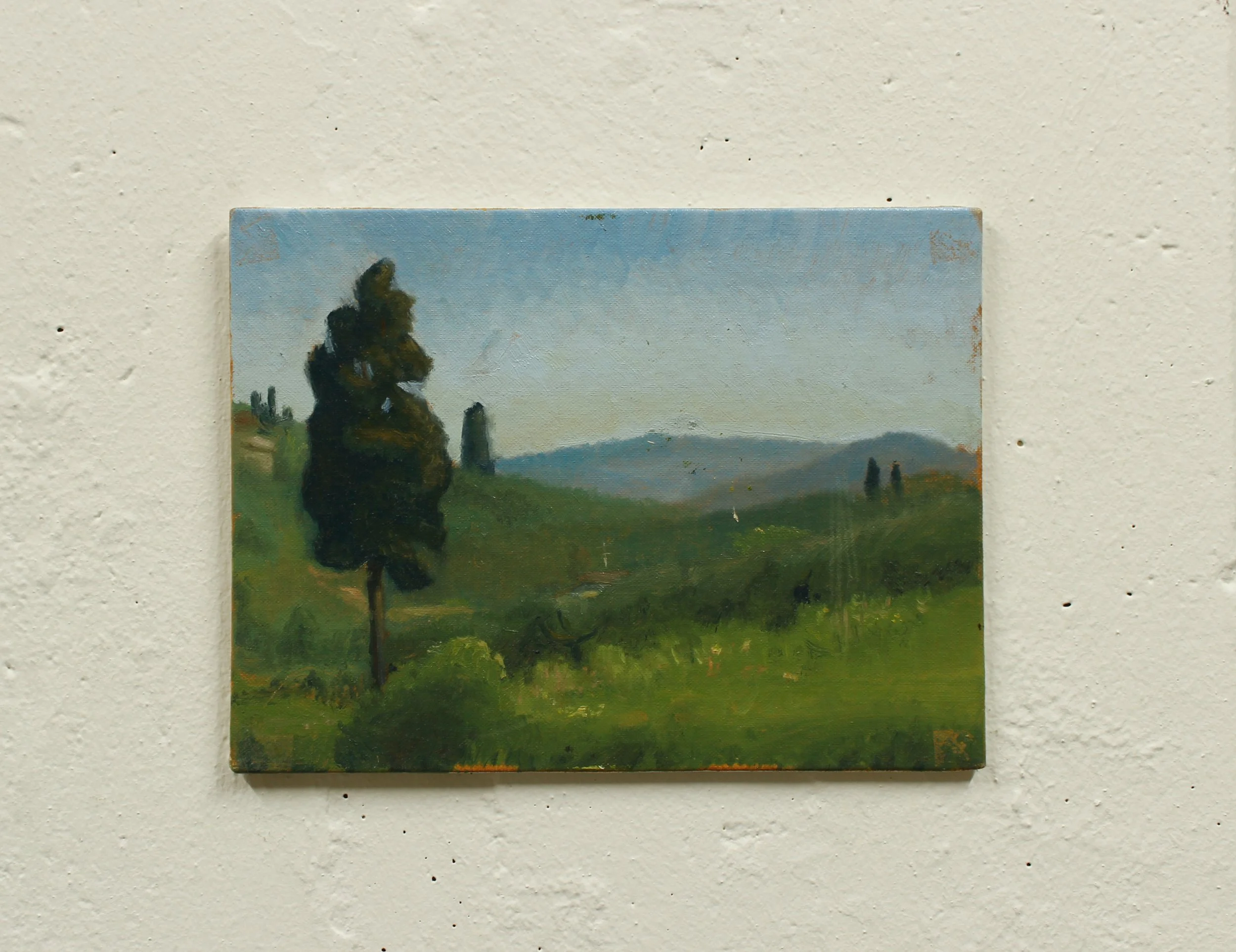 Landscape in Toscana