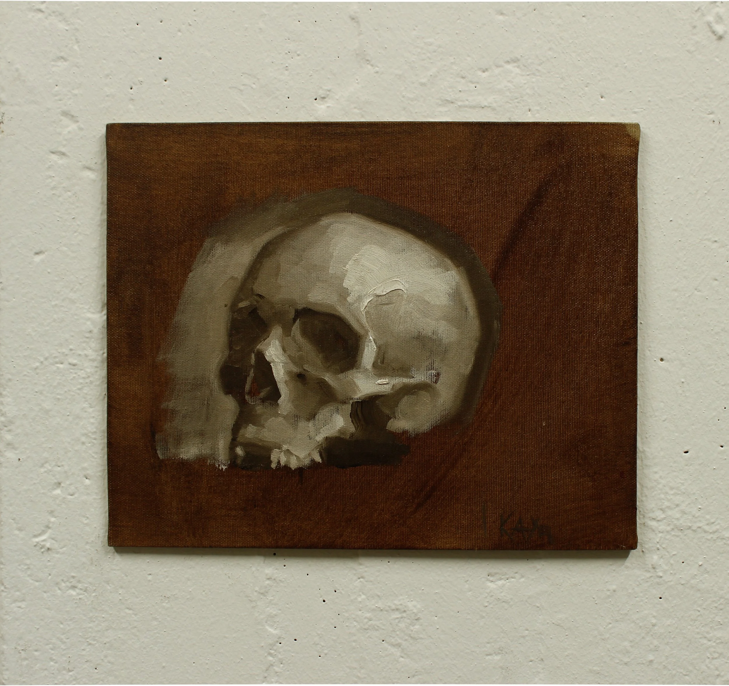 Skull study