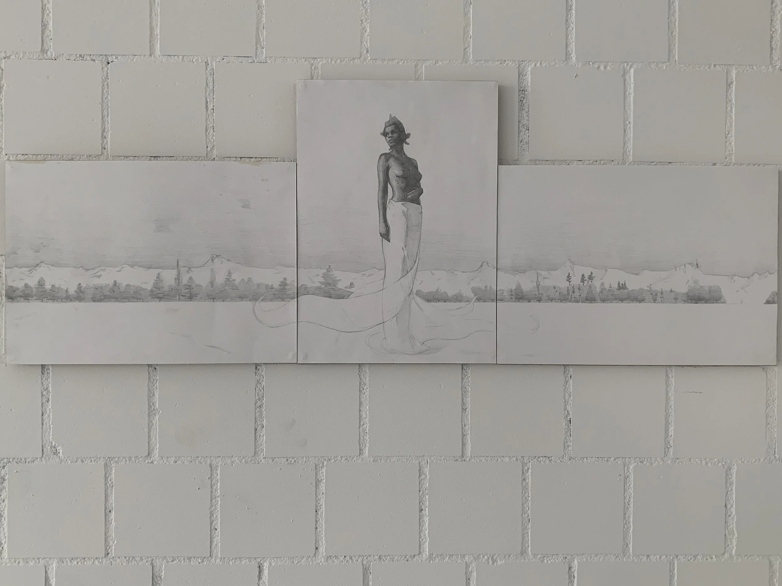Untitled, 2026. pencil on paper - various sizes