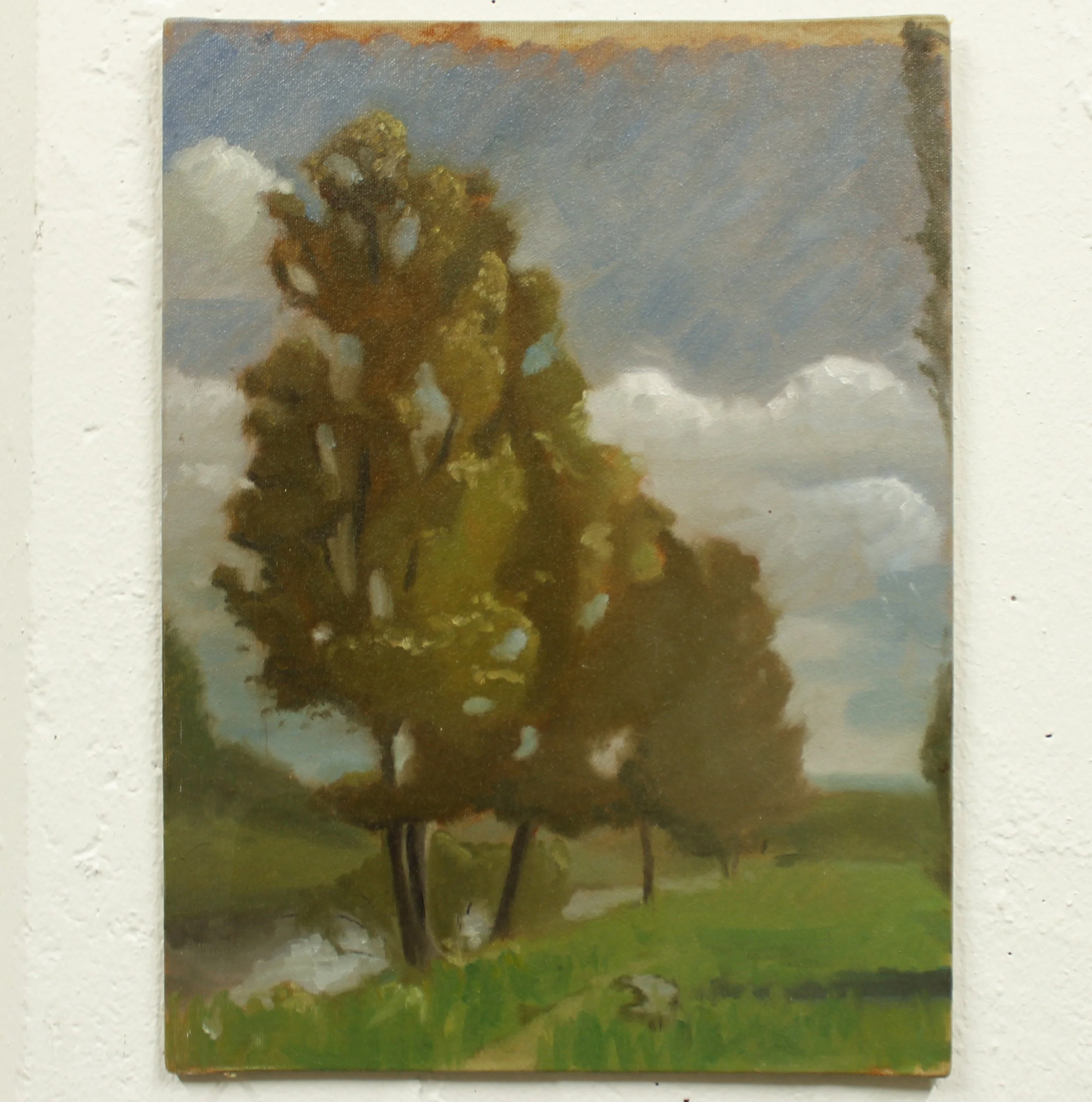 Tree by the Arno