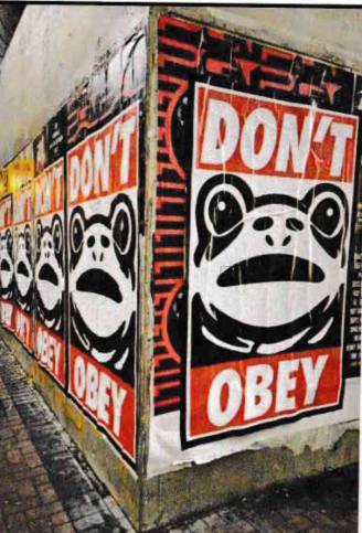 Transgressive frogs