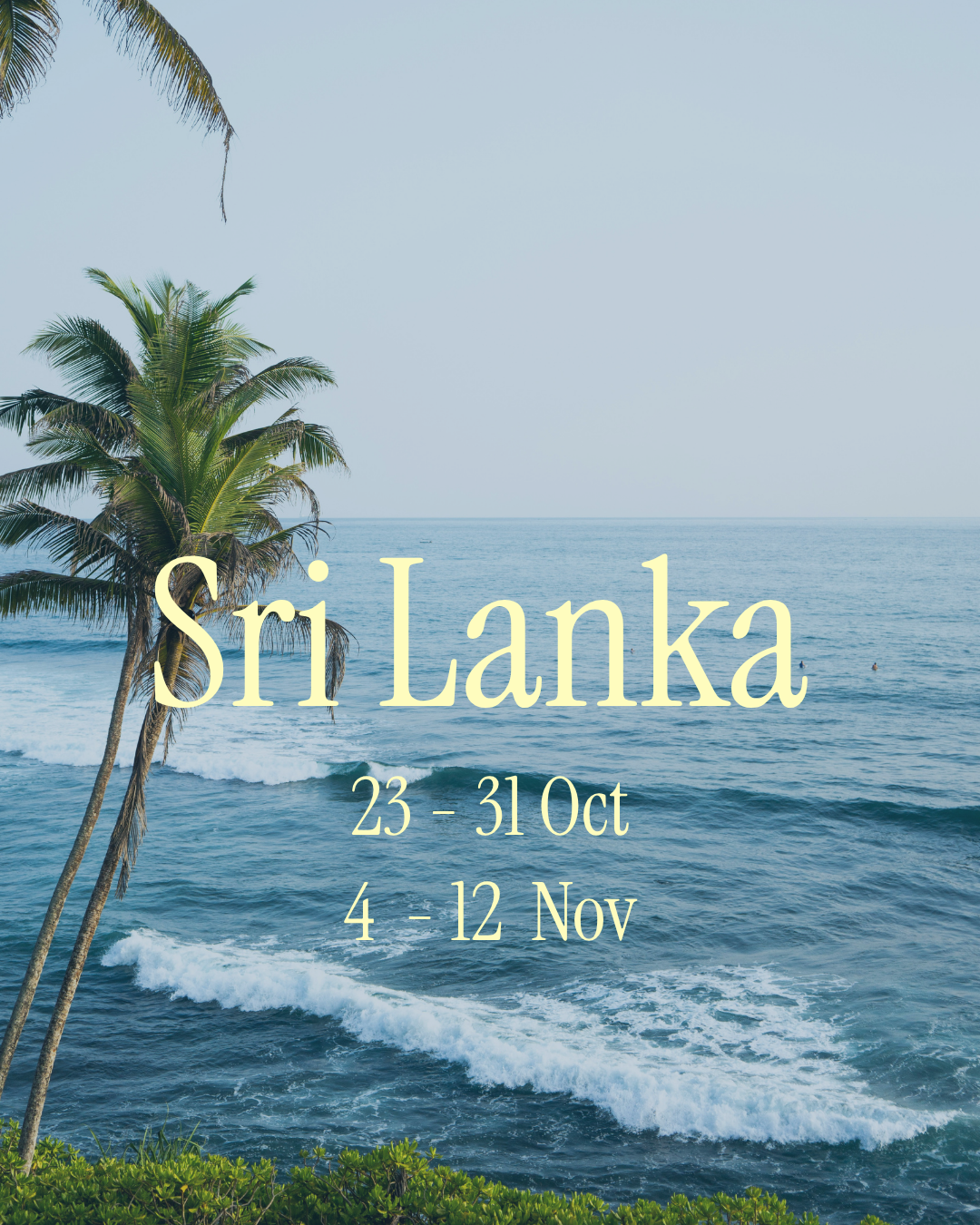 23 - 31 October / 4 - 12 Nov 2027 | Queer surf retreat Sri Lanka. From 1890€ 