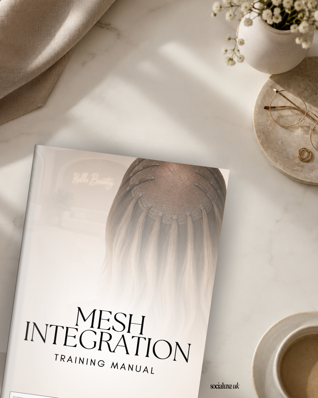 Mesh Integration System Pre-Made Training Manual