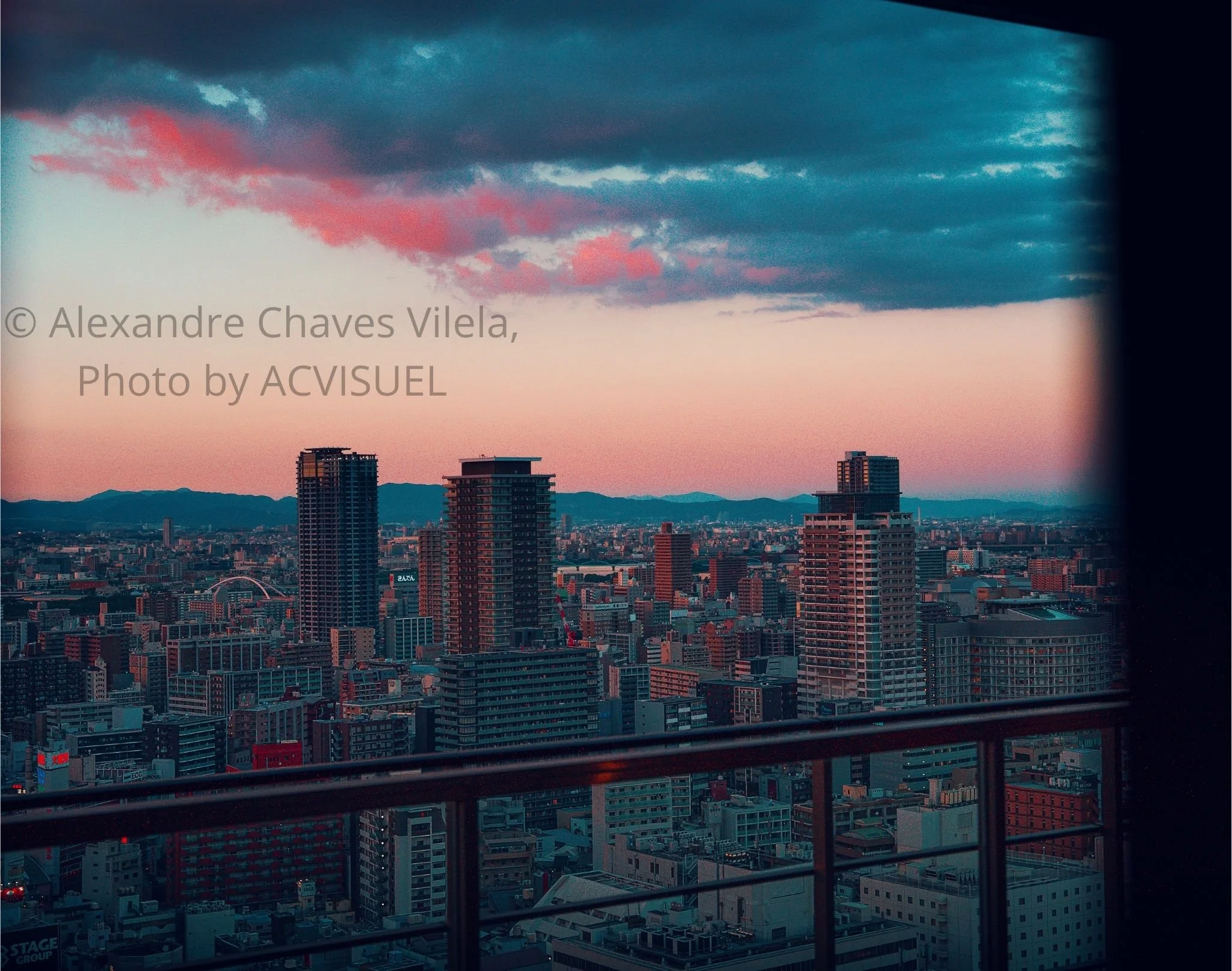 © Alexandre Chaves Vilela, Photo by ACVISUEL (7).jpg
