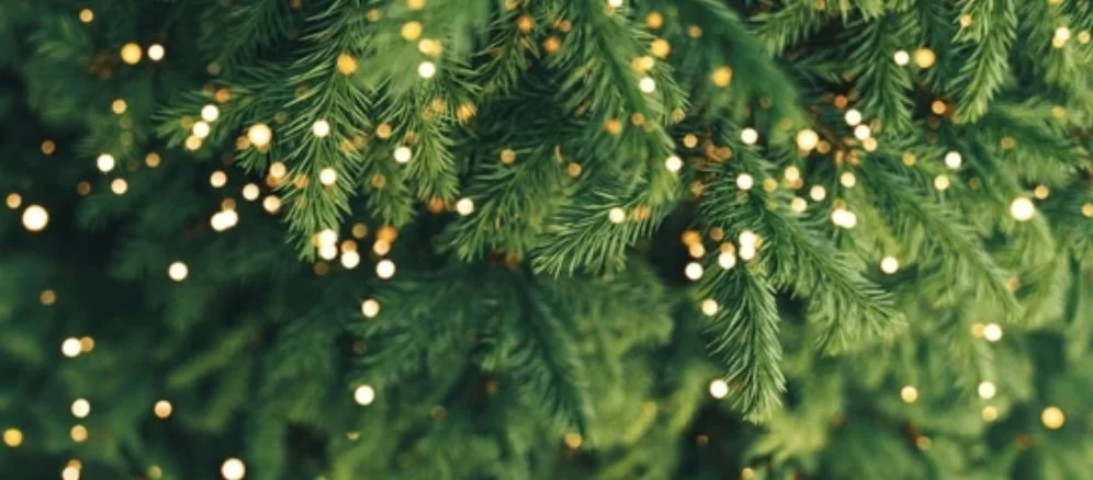 Blog Post Two - Christmas Calm