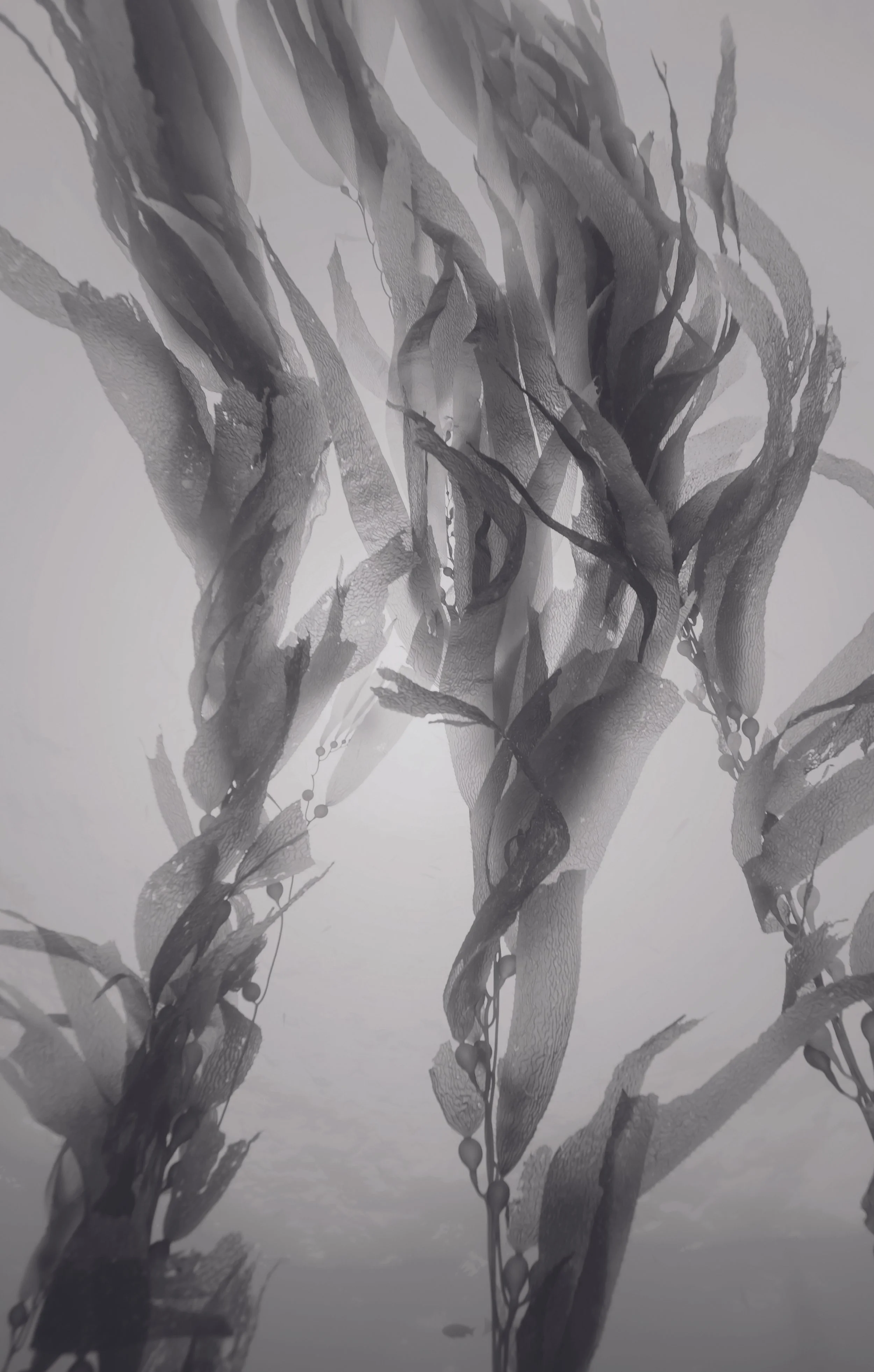 Facials and Eye Treatments