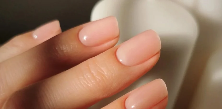 Close-up of a hand with neatly manicured nails, displaying a natural pinkish nail polish.