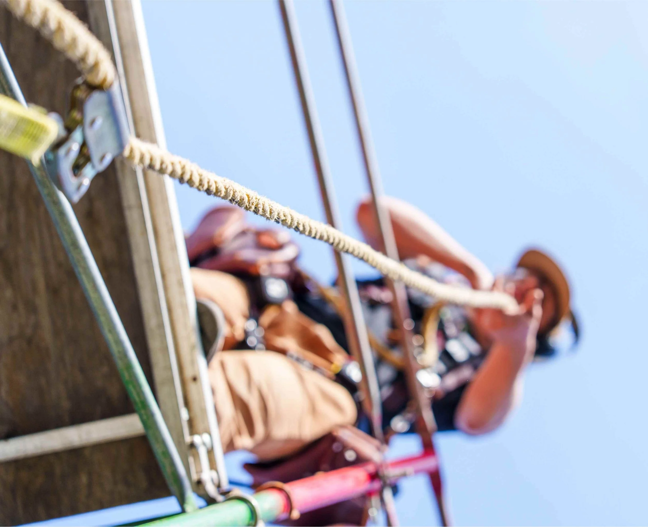 Teamwork Makes the Dream Work