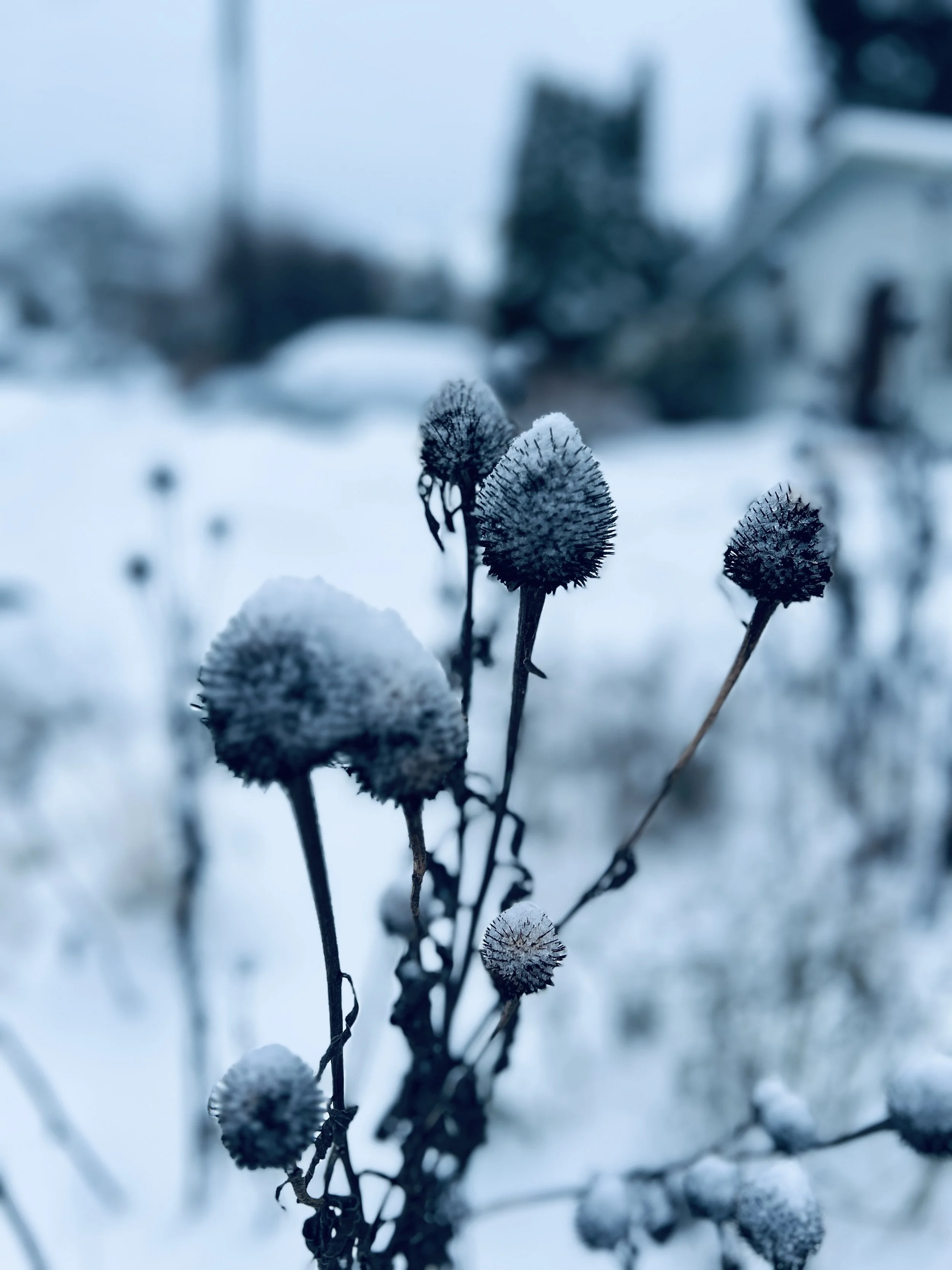 How to Prepare for Winter: 10 Ways to Keep Your House Warm