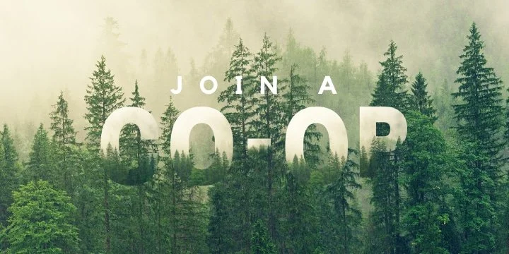 JOIN A CO-OP: Misty evergreens await, where home builders Bellingham call community and nature home.