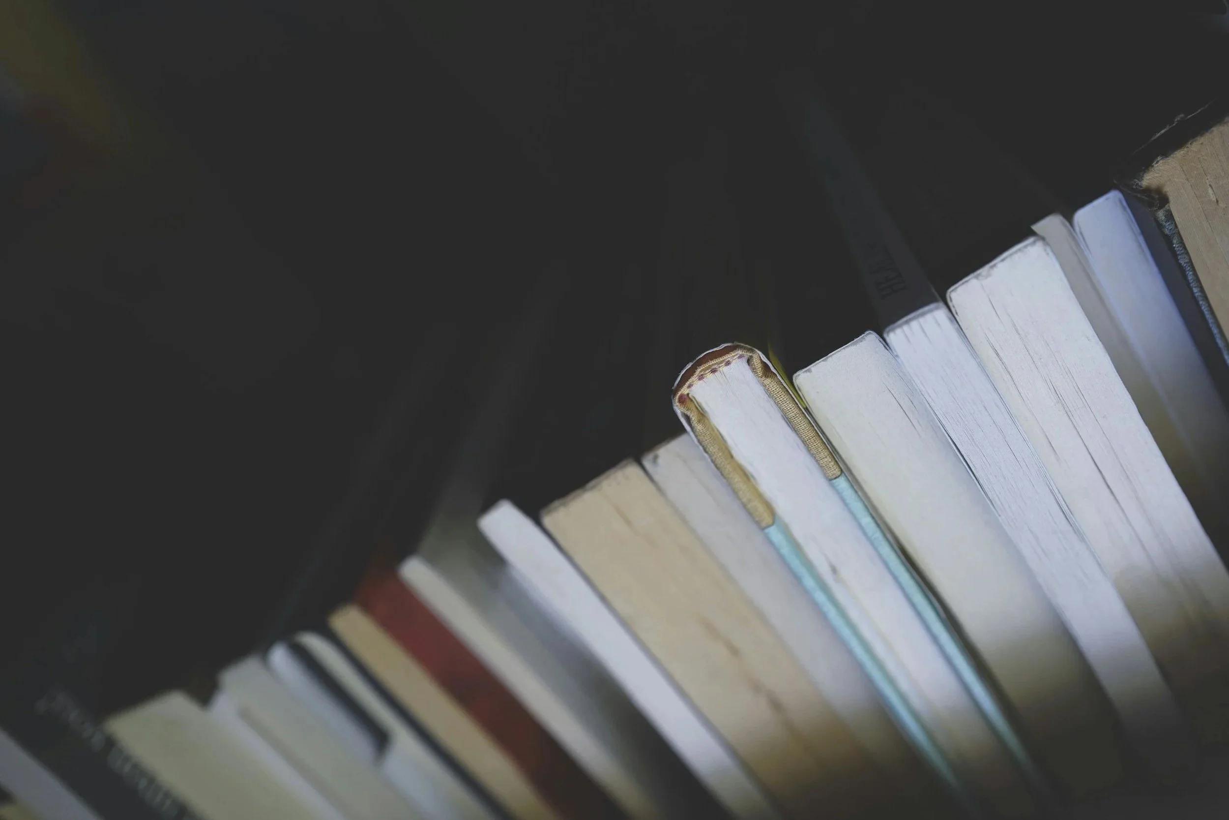 The spines of books, a cosy image that represents English language and literature.