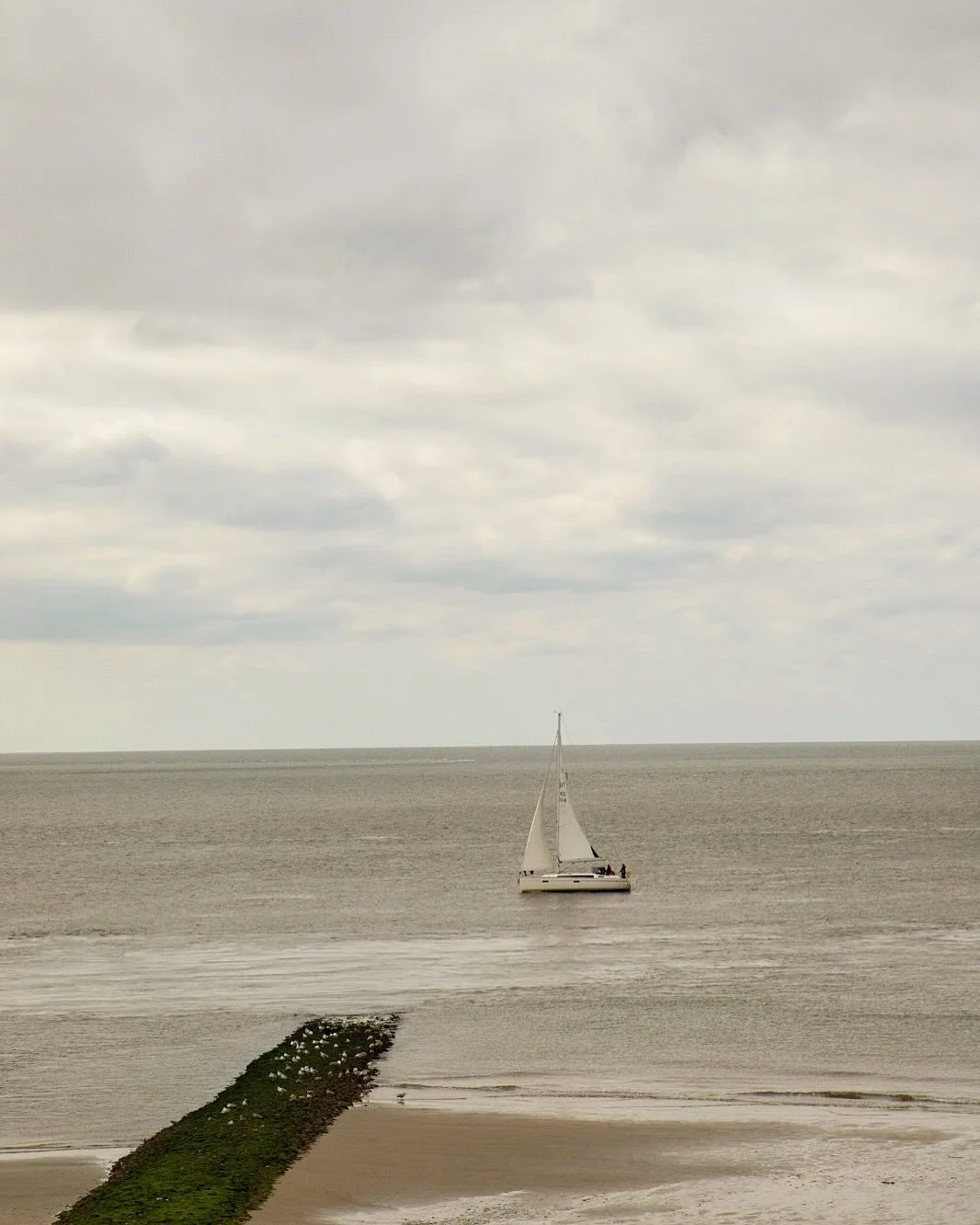 Crisp days like this one call for autumn walks along the North Norfolk coast, where big skies, rolling fields and golden woodland steal the show🍁End your ramble at The Maltings with a steaming hot chocolate in the cosy library - a true home-from-hom