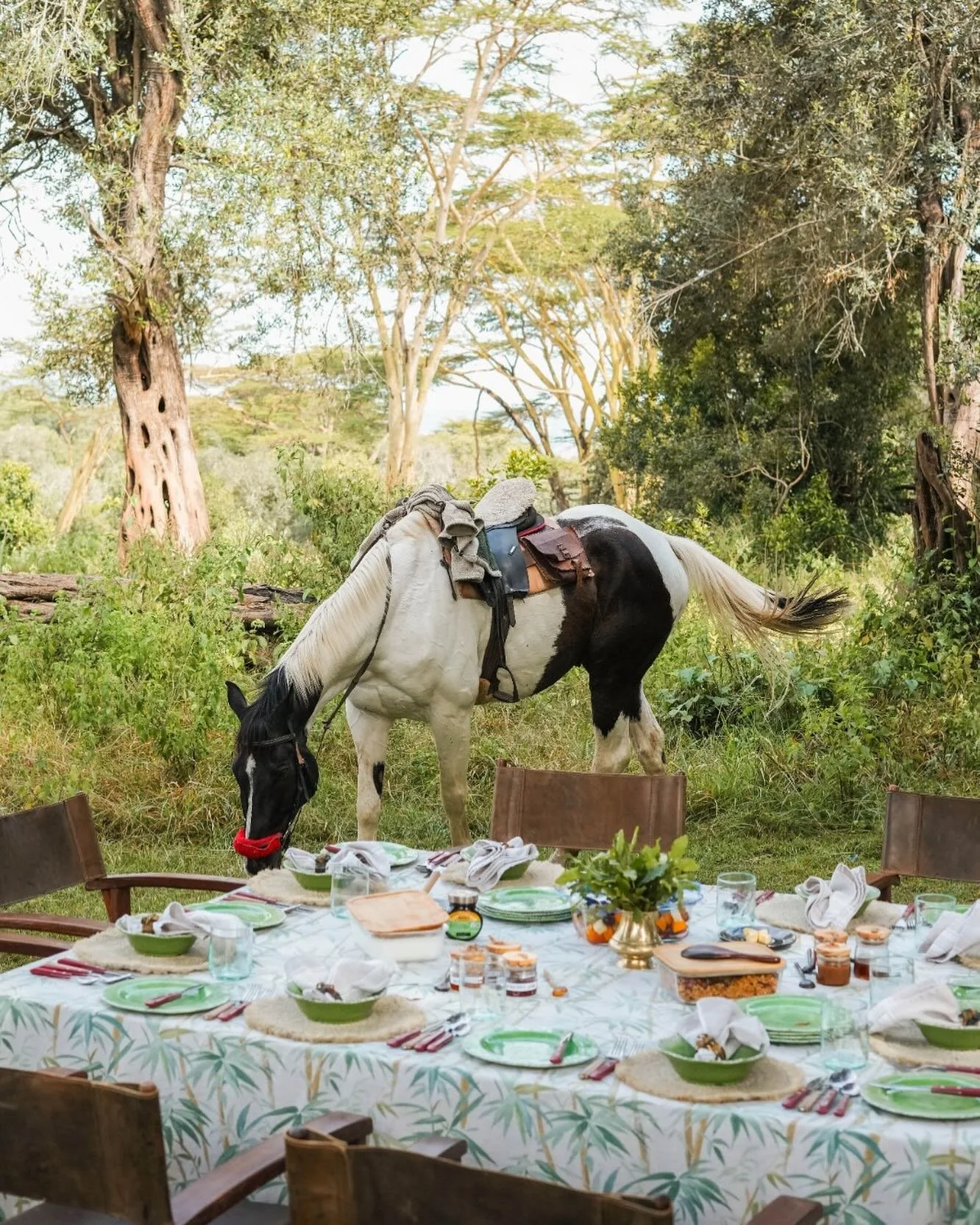 Today marks the official beginning of the Year of the Horse🐎 

In Chinese astrology, the elements move through a 60-year cycle with this year signifying the return of the Fire Horse. It is a time of courage and bold action. 

Image shows one of the 