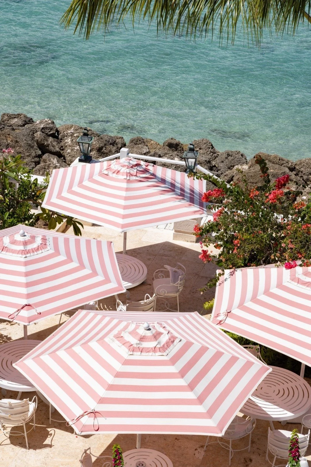 WhatsApp Image 2025-06-19 at 12.26.50.jpg