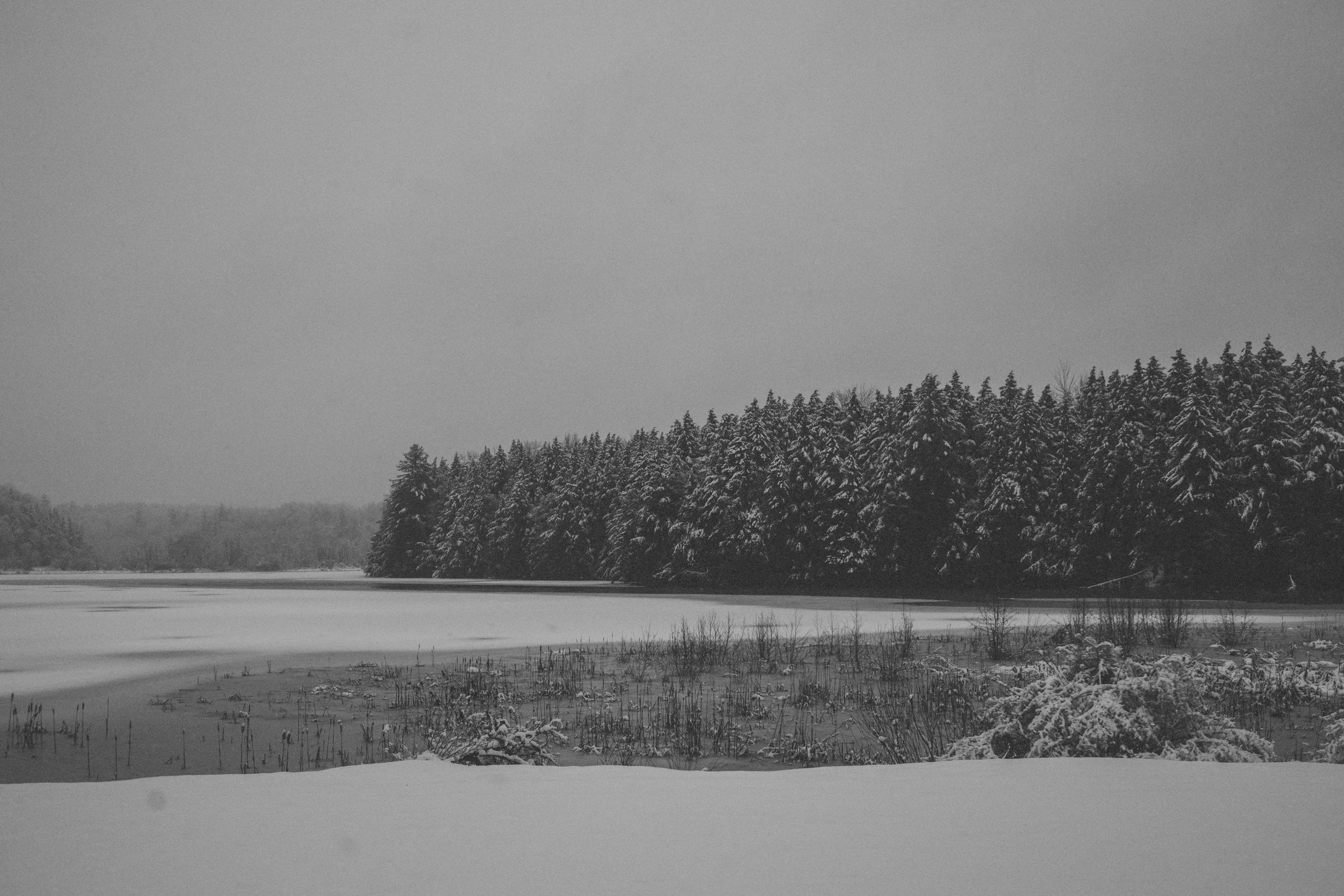 Blue Snow