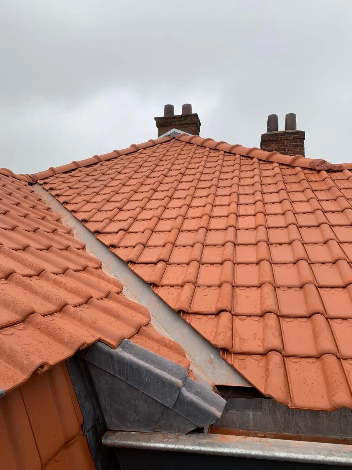 hellende-daken-antwerpen