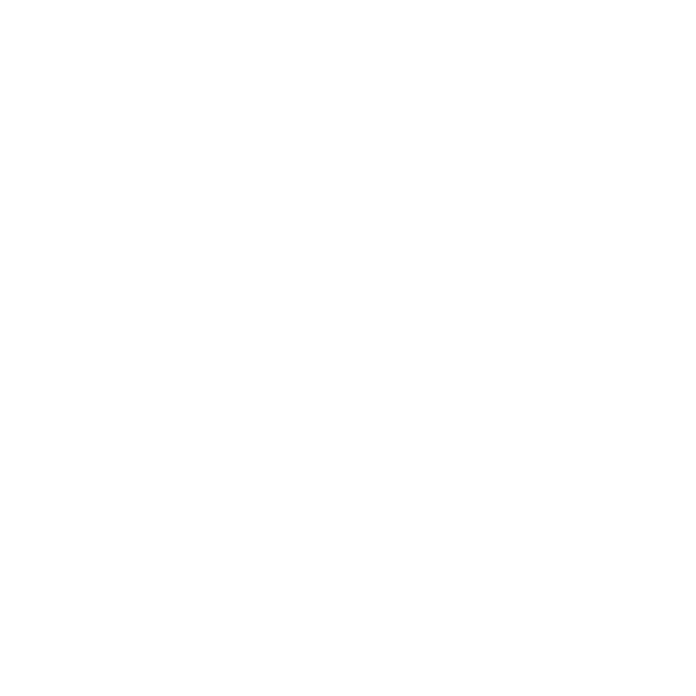 Salomon logo in white text on a black background.