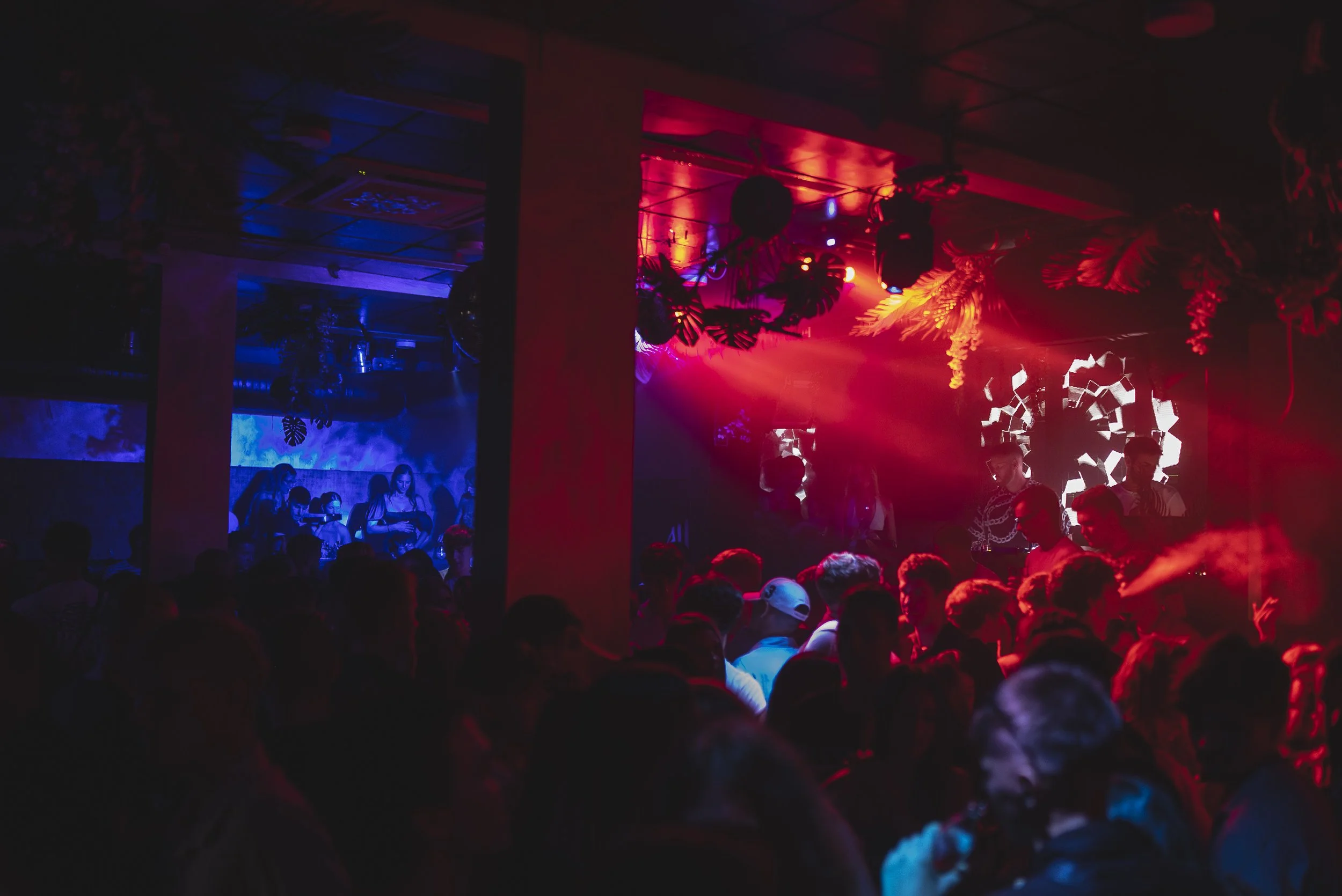 Crowd of people dancing and socializing in a dark nightclub with colorful red and blue stage lights, DJ booth, and decorative foliage hanging from the ceiling.