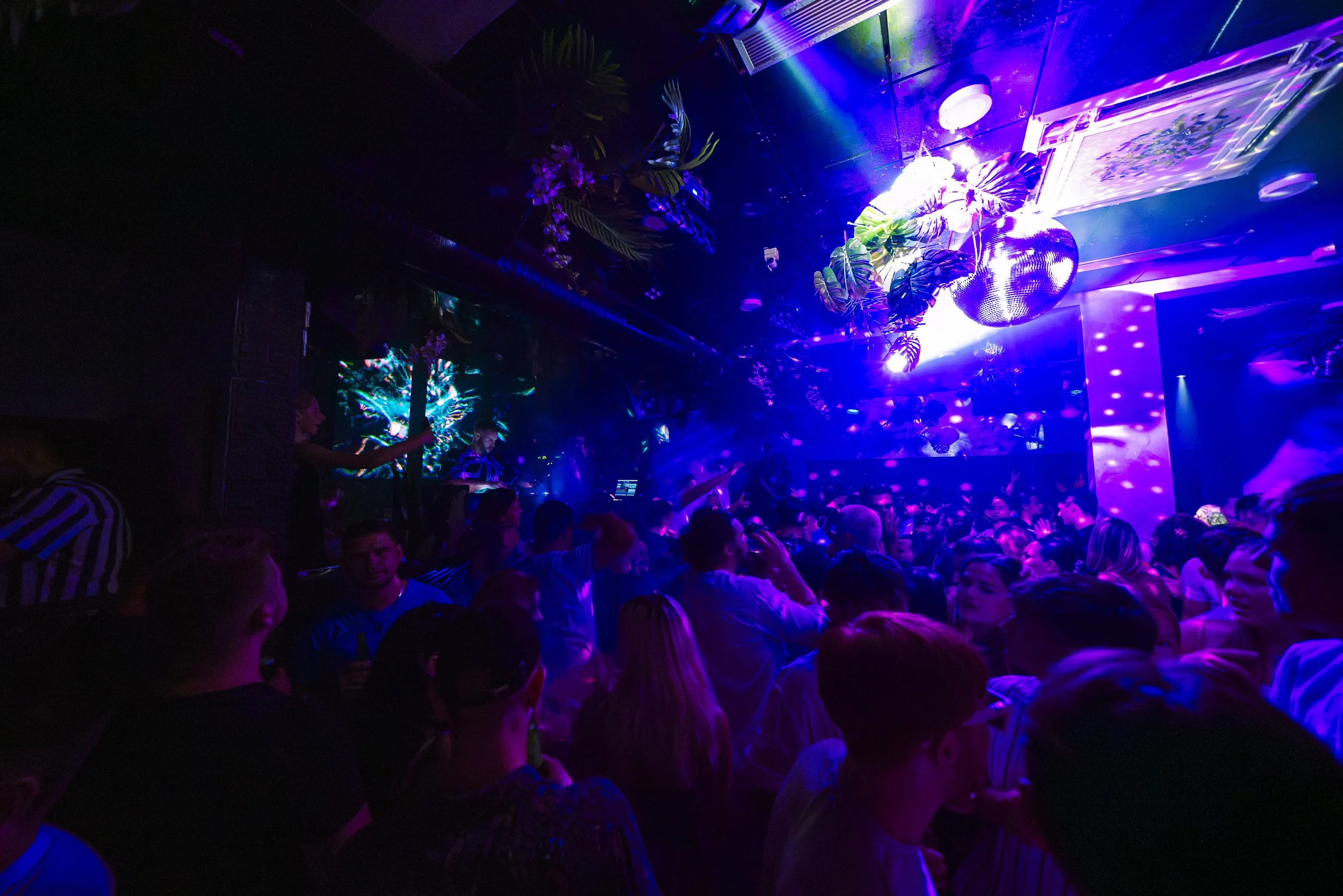 Crowded nightclub with colorful neon lights, hanging plants, and a mirrored disco ball, showing people dancing and socializing.