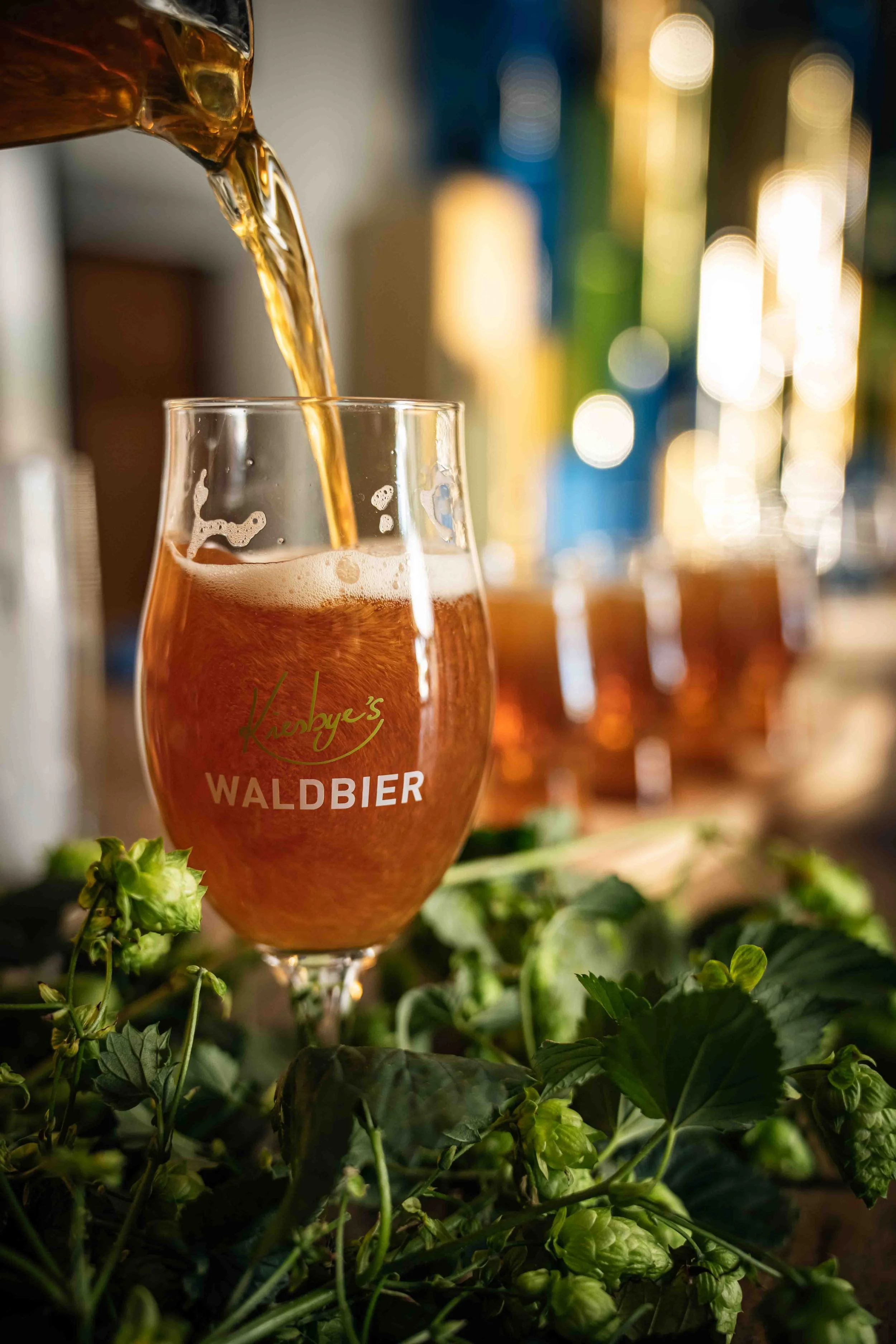 Präsentation des neuen Waldbieres 2025 mit Spezialangeboten