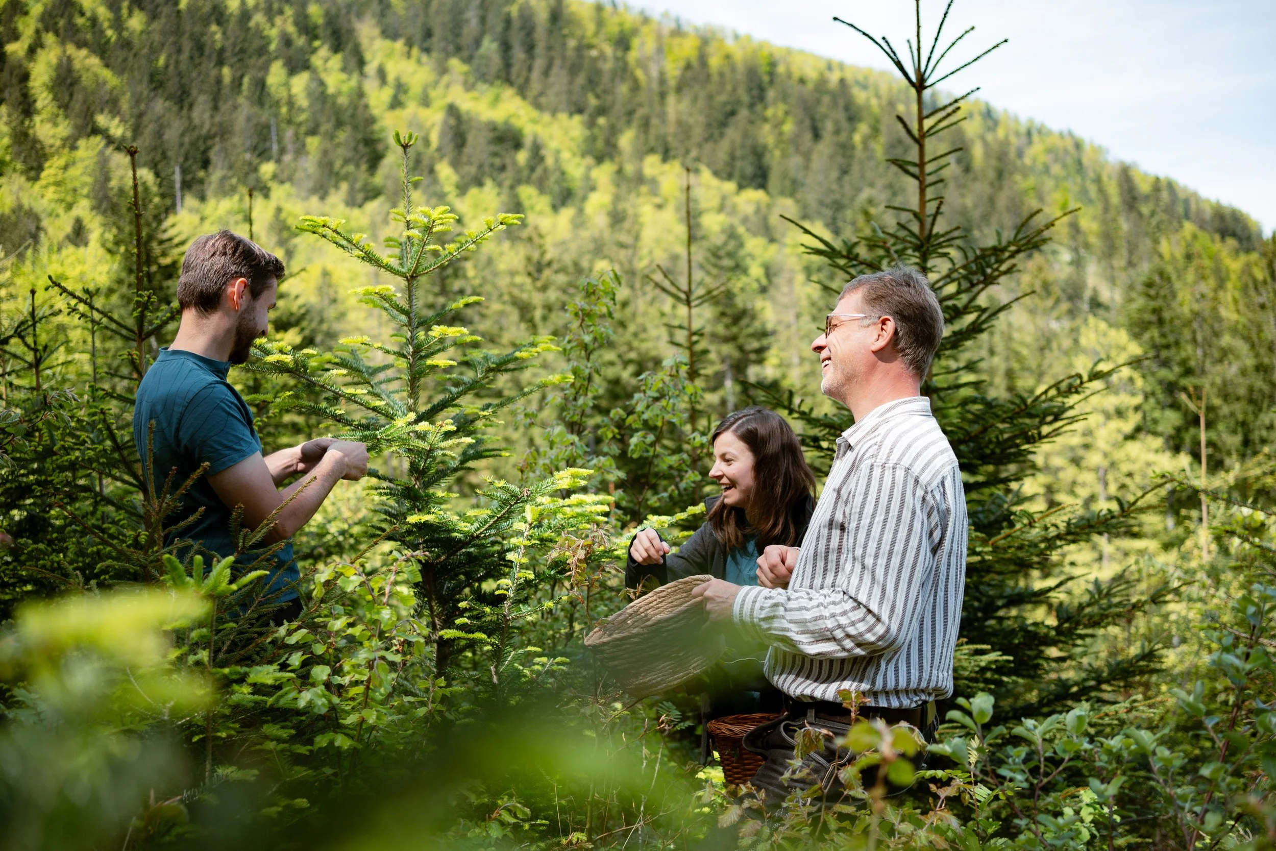 Drei Menschen beim Waldspaziergang in einem Nadelwald, ein Mann hält einen Korb, eine Frau lacht, ein junger Mann scheidet einen Baum aus.