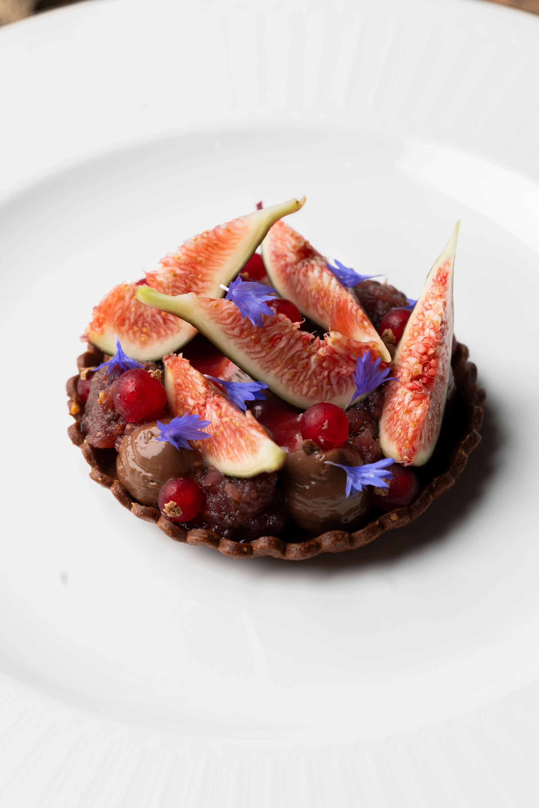 Tartelette aux fruits avec figues, groseilles, cerises et fleurs violettes sur une assiette blanche
