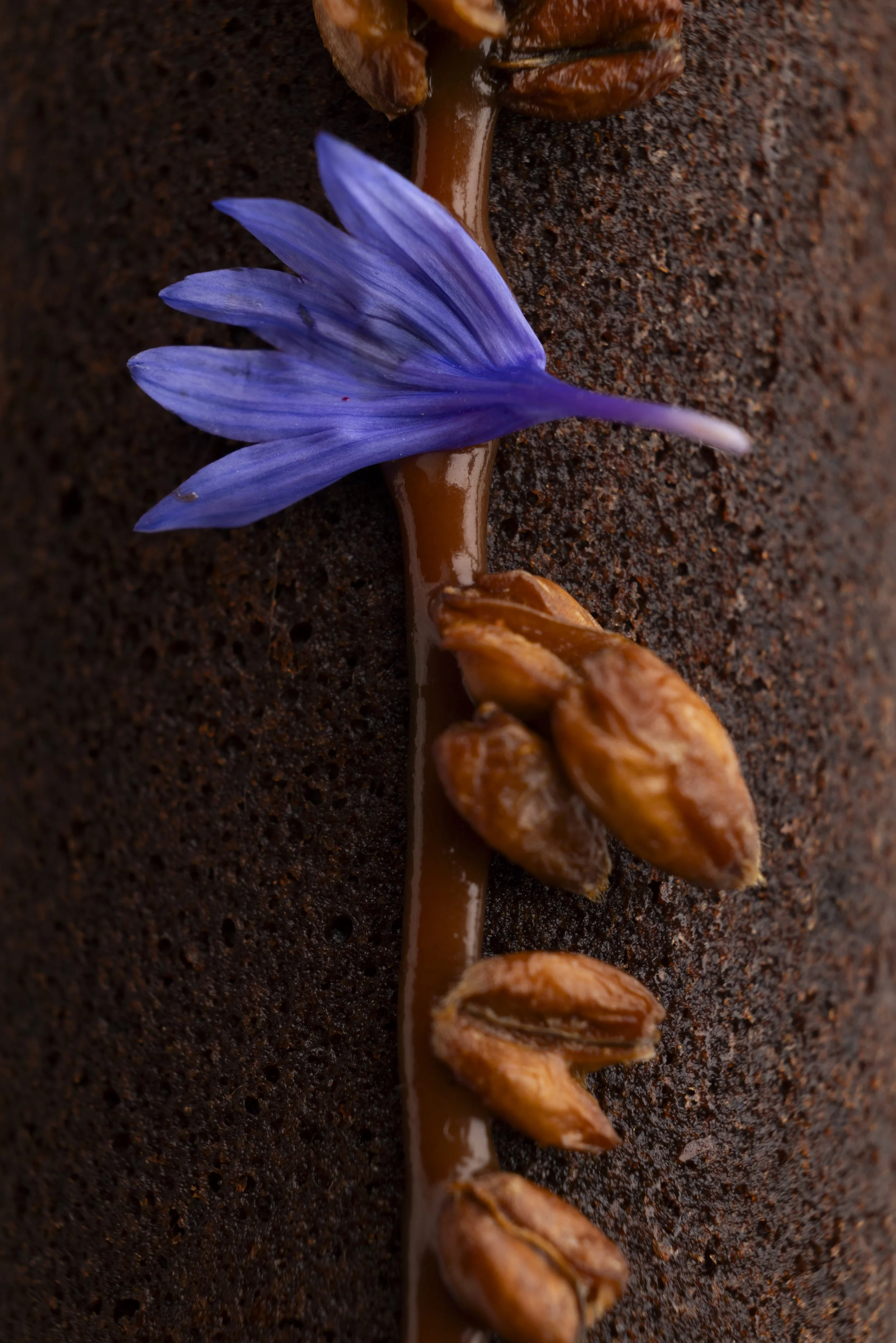 Gâteau au chocolat décoré avec une violette, des grains de cacao et une couche de glaçage brillant.