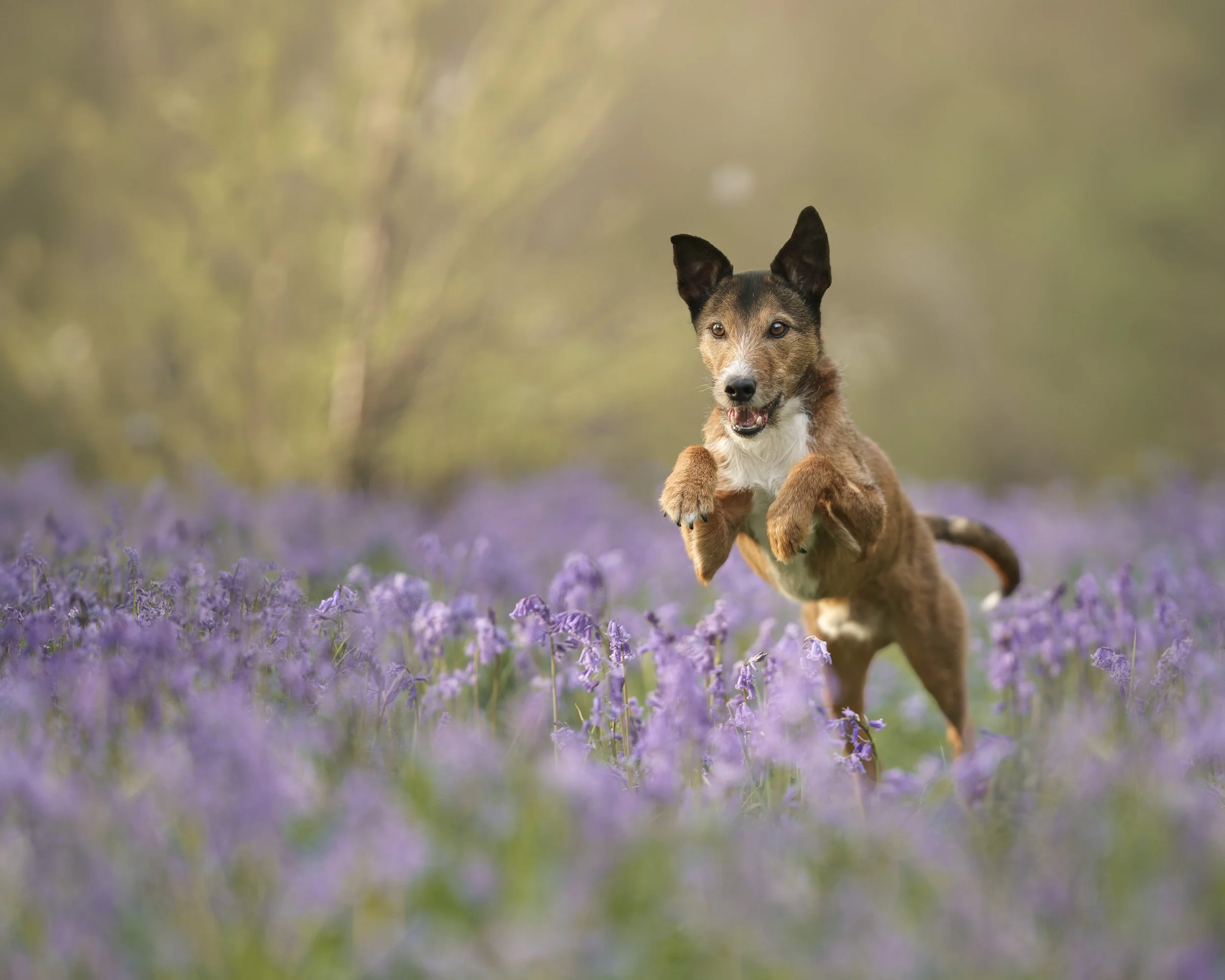 Spring round up