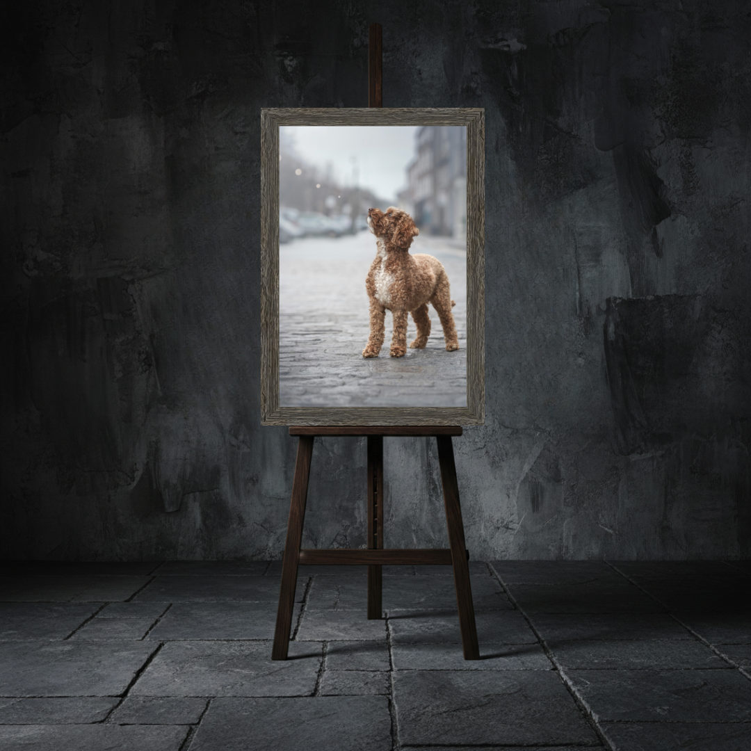 A framed photograph of a small dog standing on a mossy log surrounded by purple flowers, displayed on an easel against a dark textured wall.