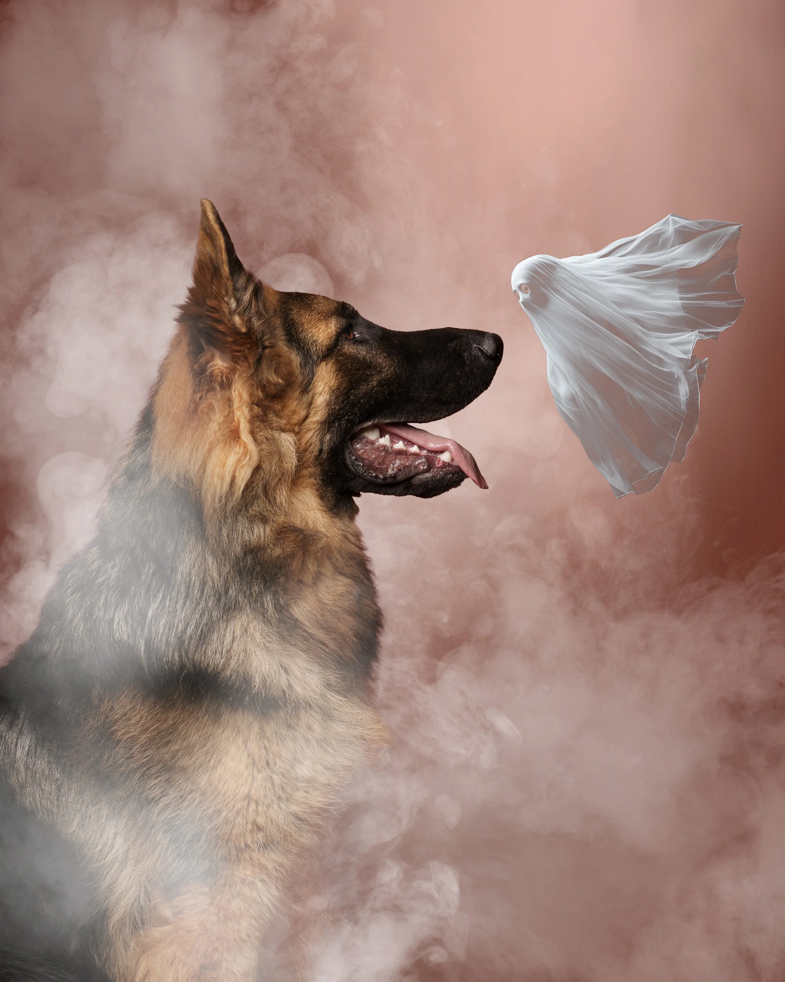 German Shepherd dog facing a floating white ghost-like figure with a flowing sheet, on a pink and smoky background.