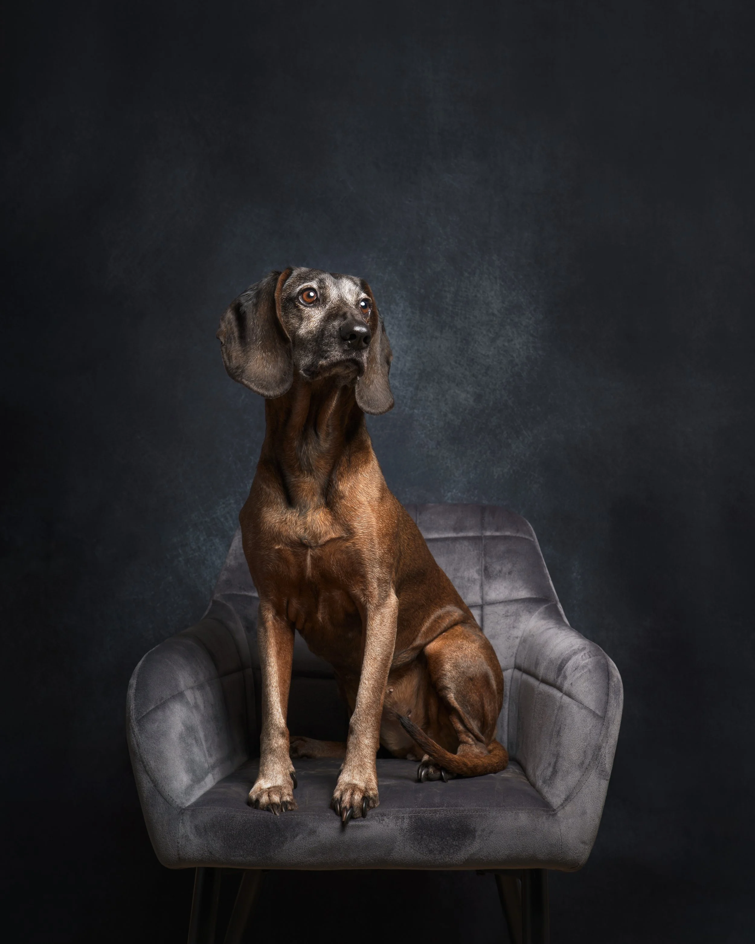 Growing Old Gracefully copy.JPG