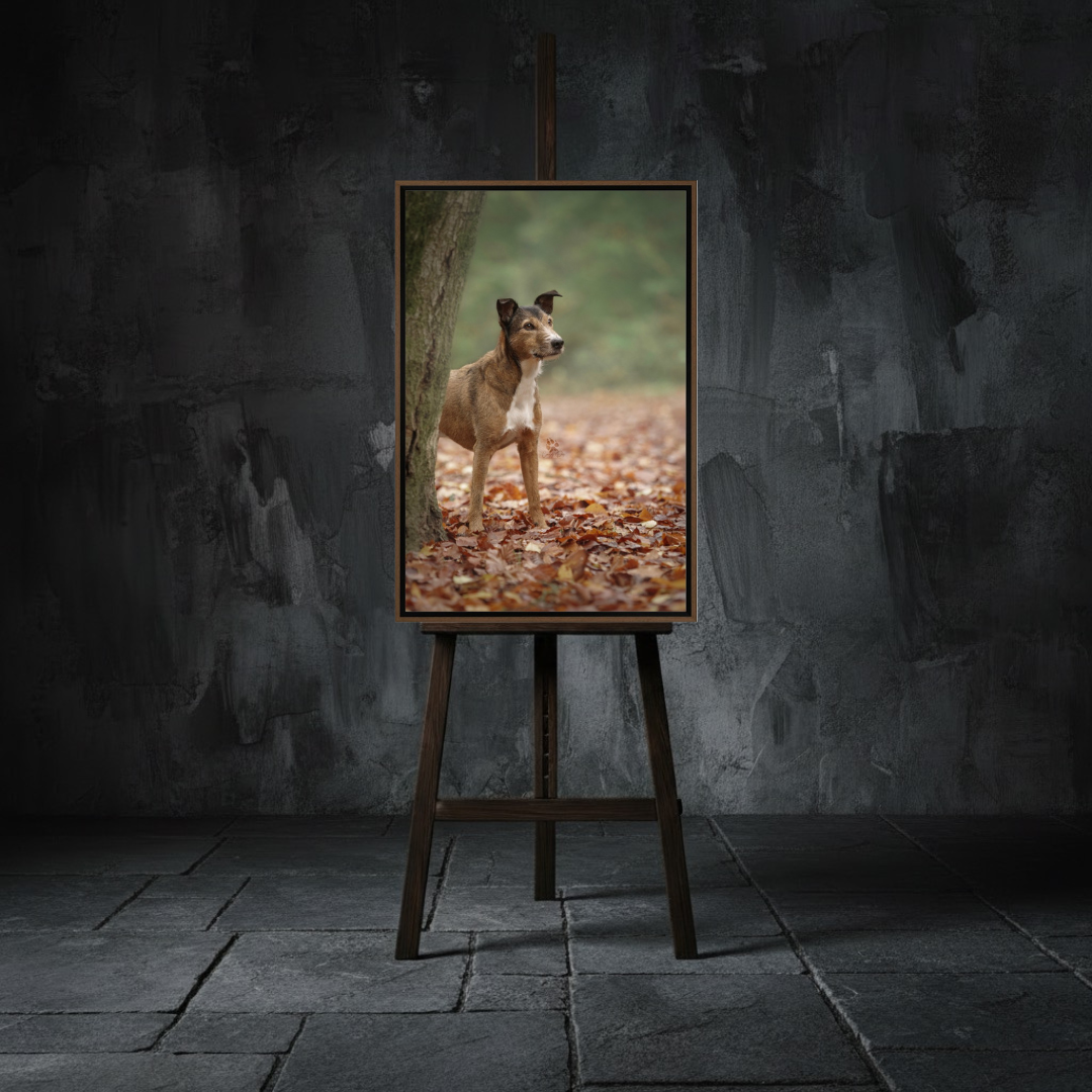 A painting of a dog standing behind a tree in a forest with fallen autumn leaves on the ground.