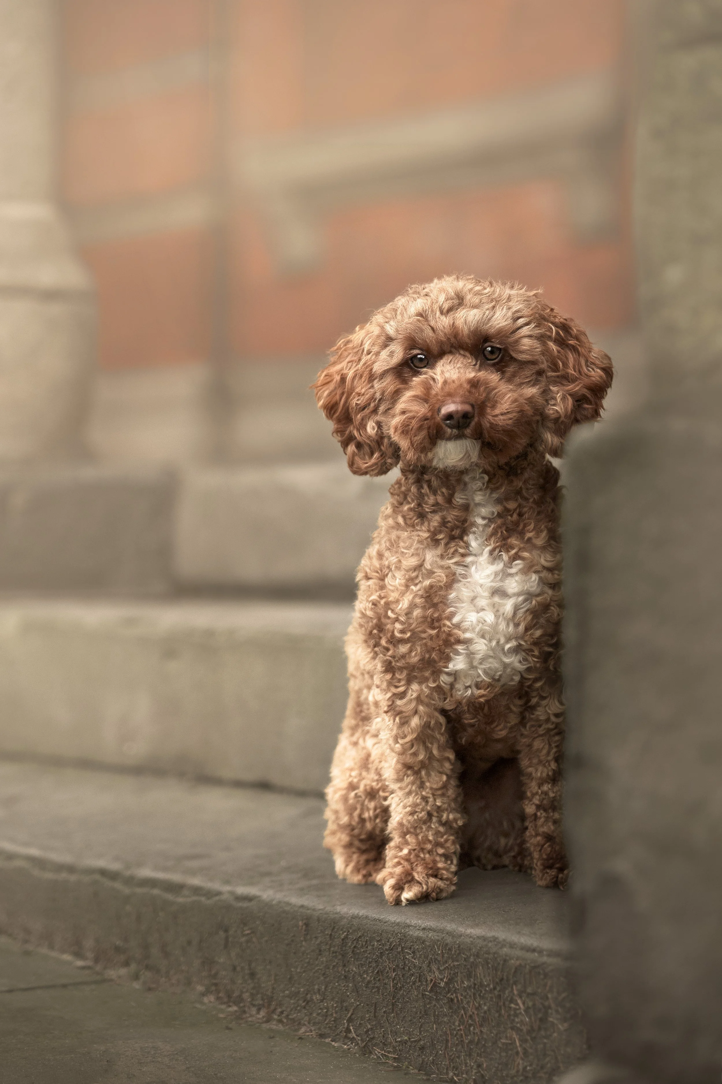 Waiting on the steps.jpg