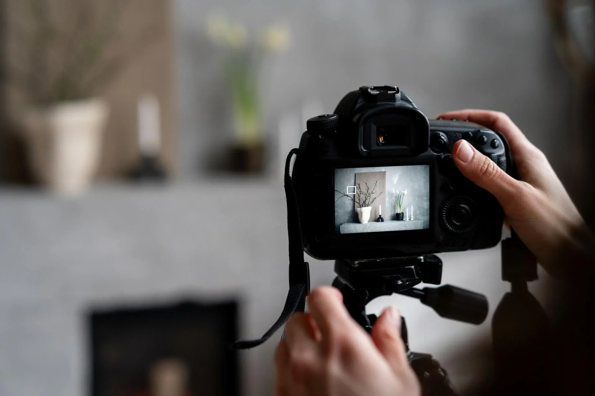 professional-Airbnb-photoshoot-process-in-LA.webp
