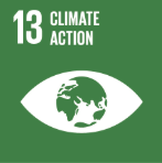 Icon representing climate action with the number 13, including a globe in a speech bubble