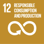 Icon representing the United Nations Sustainable Development Goal 12: Responsible Consumption and Production, featuring a circular arrow and the number 12.