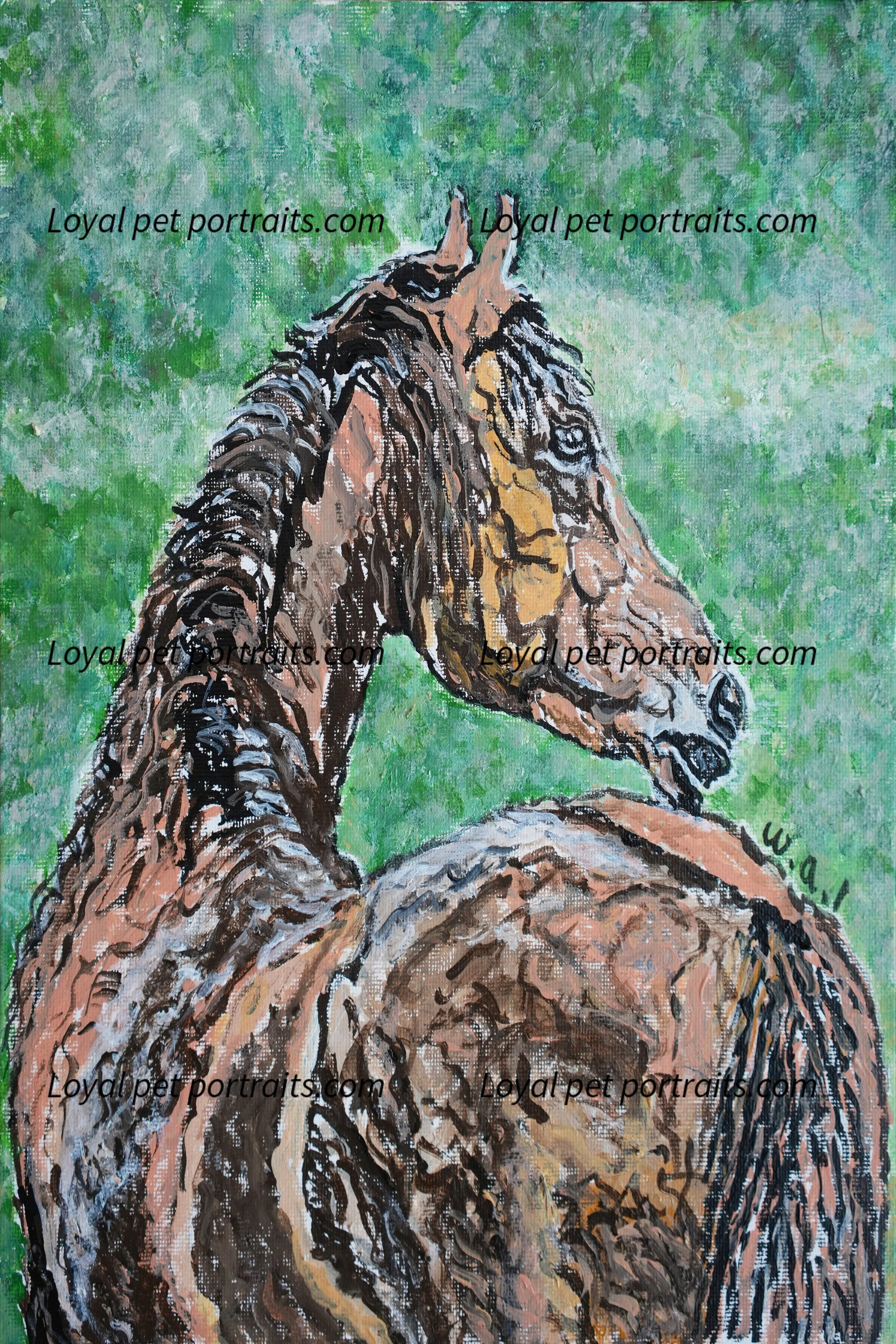 Pet portraits_7.jpg
