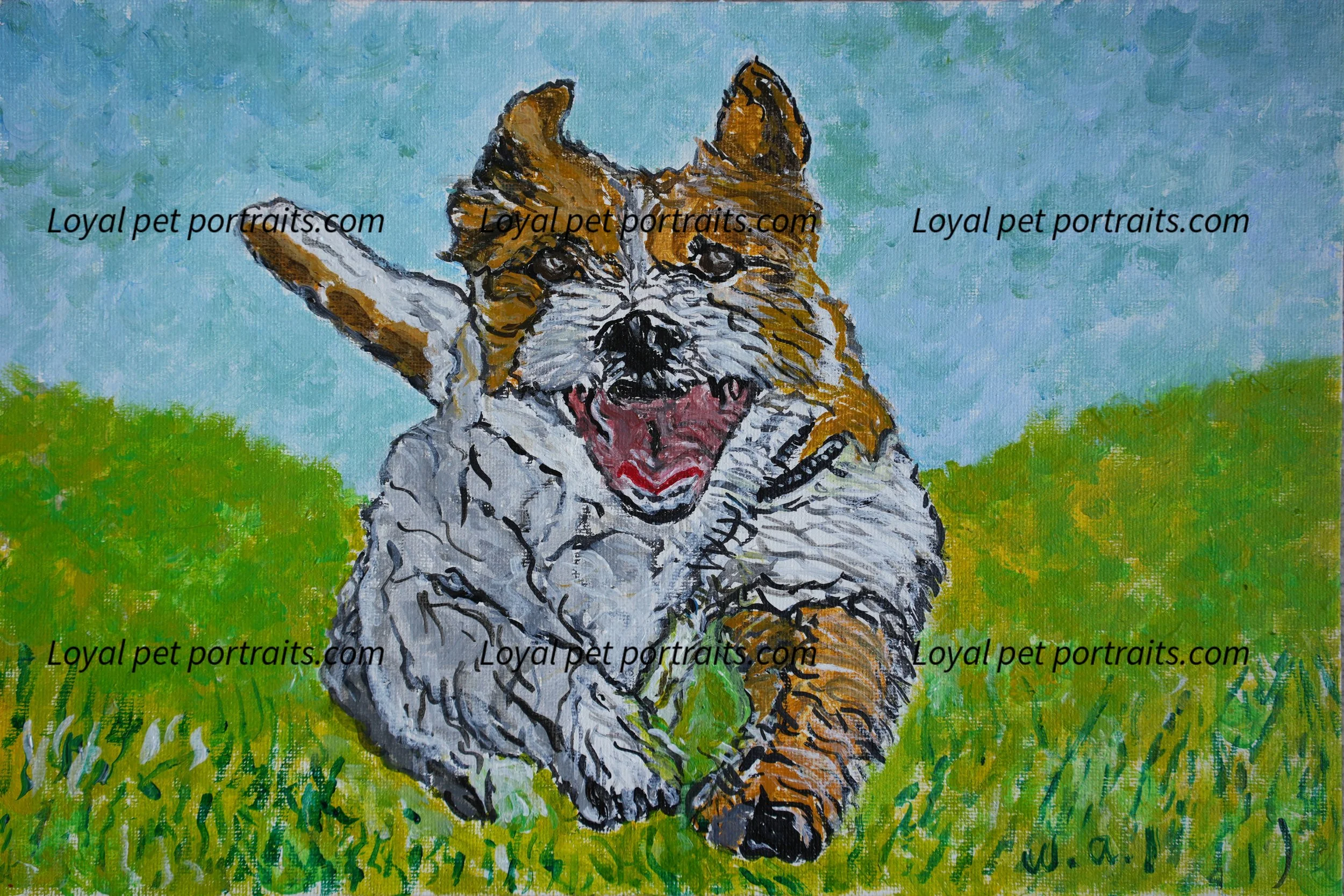 Dog10.jpg