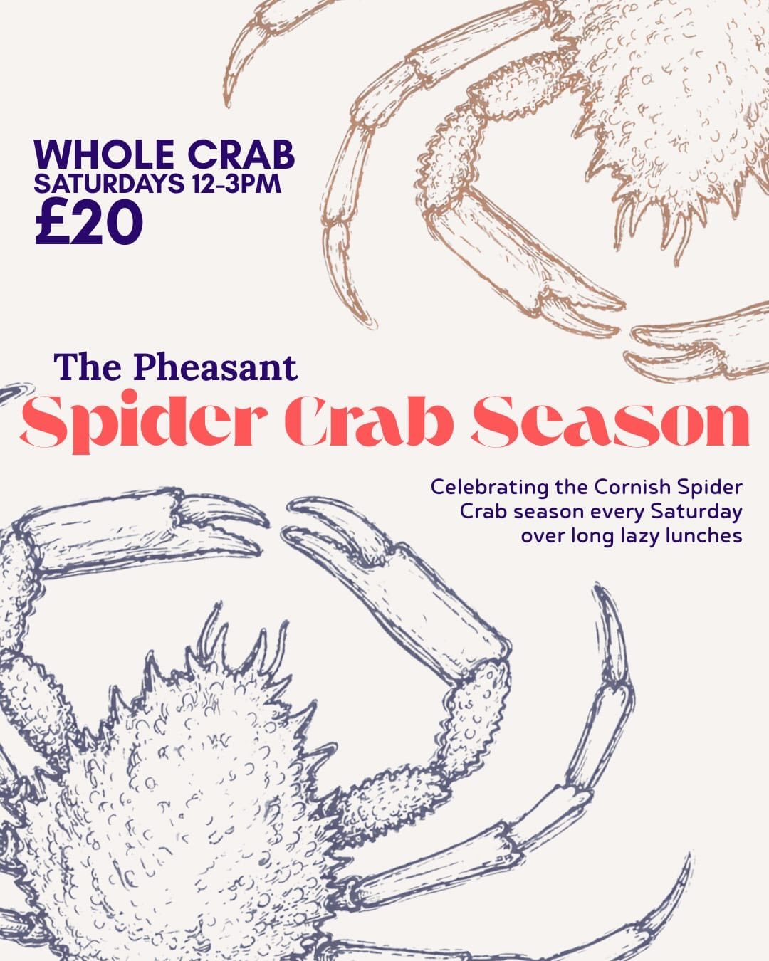 Spider Crab season is upon us once again. At this time of year spider crabs move to shallow waters where our inshore day-boat fleet catch them in their pots around our shores. We believe spider crab is one of the tastiest things to come out of the se