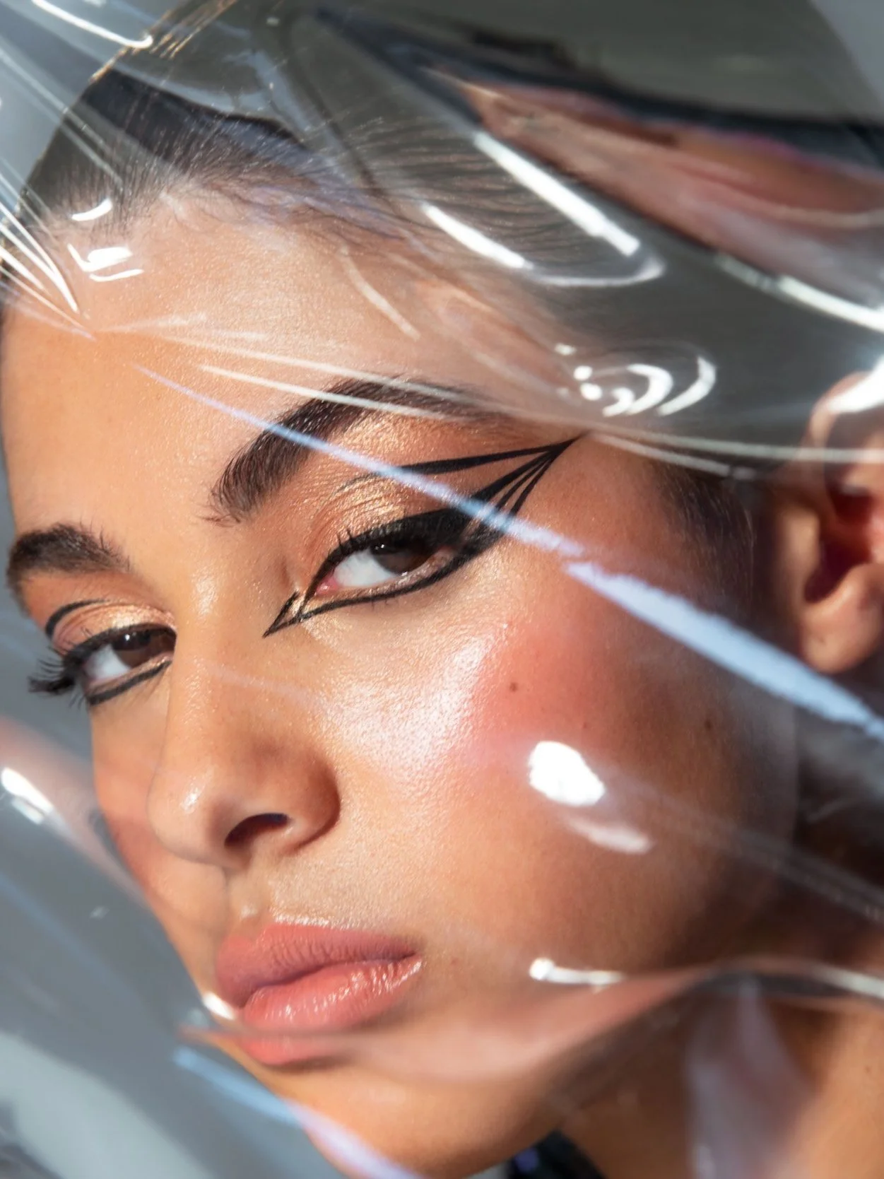 BRONZING STORY - MAC